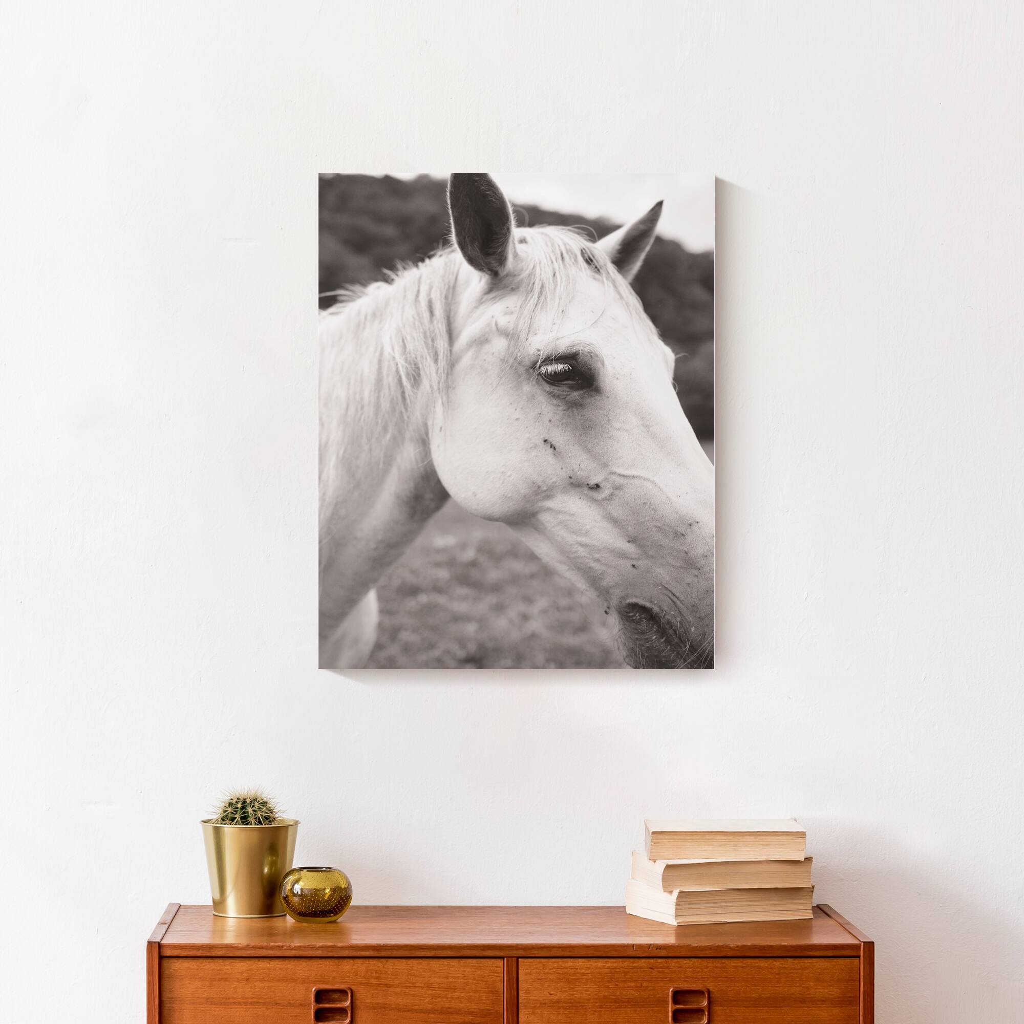 Horse Closeup 16" x 20" Canvas Wall Art