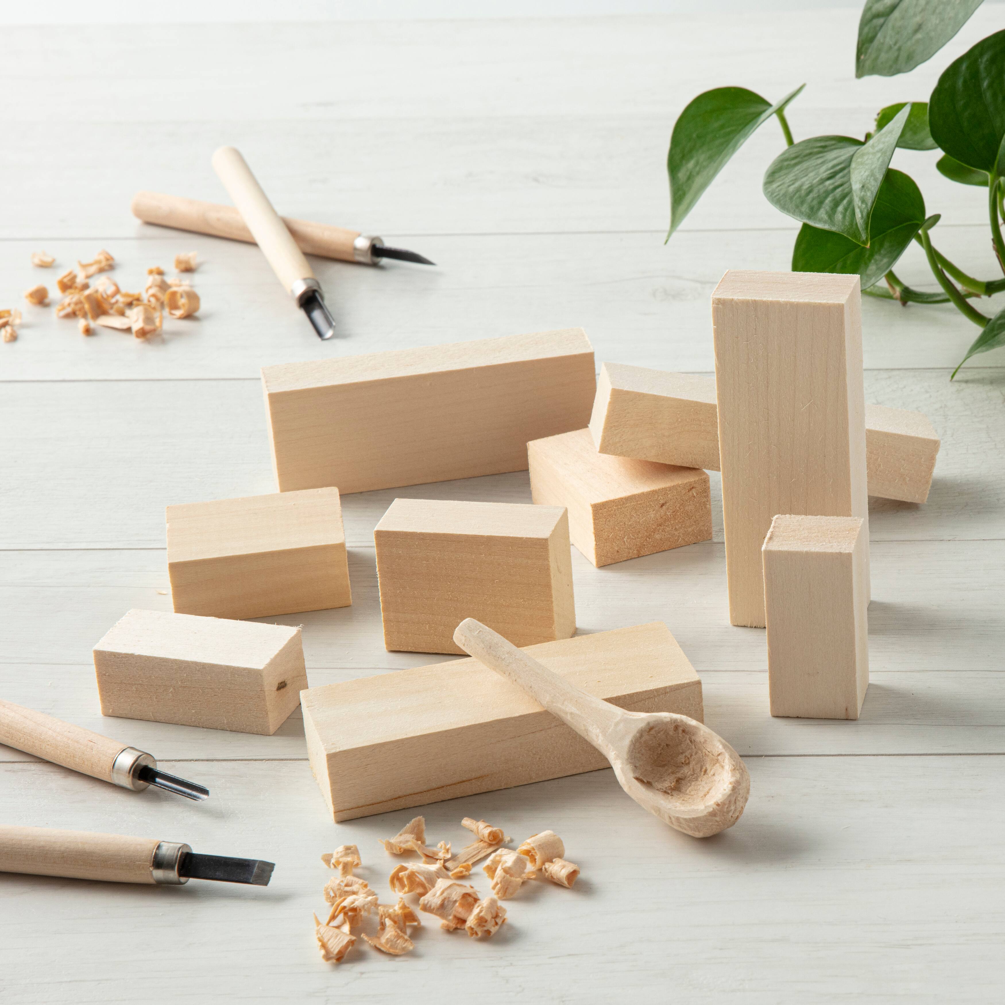 6 Pack: 10 Piece Basswood Whittler's Kit by Make Market®