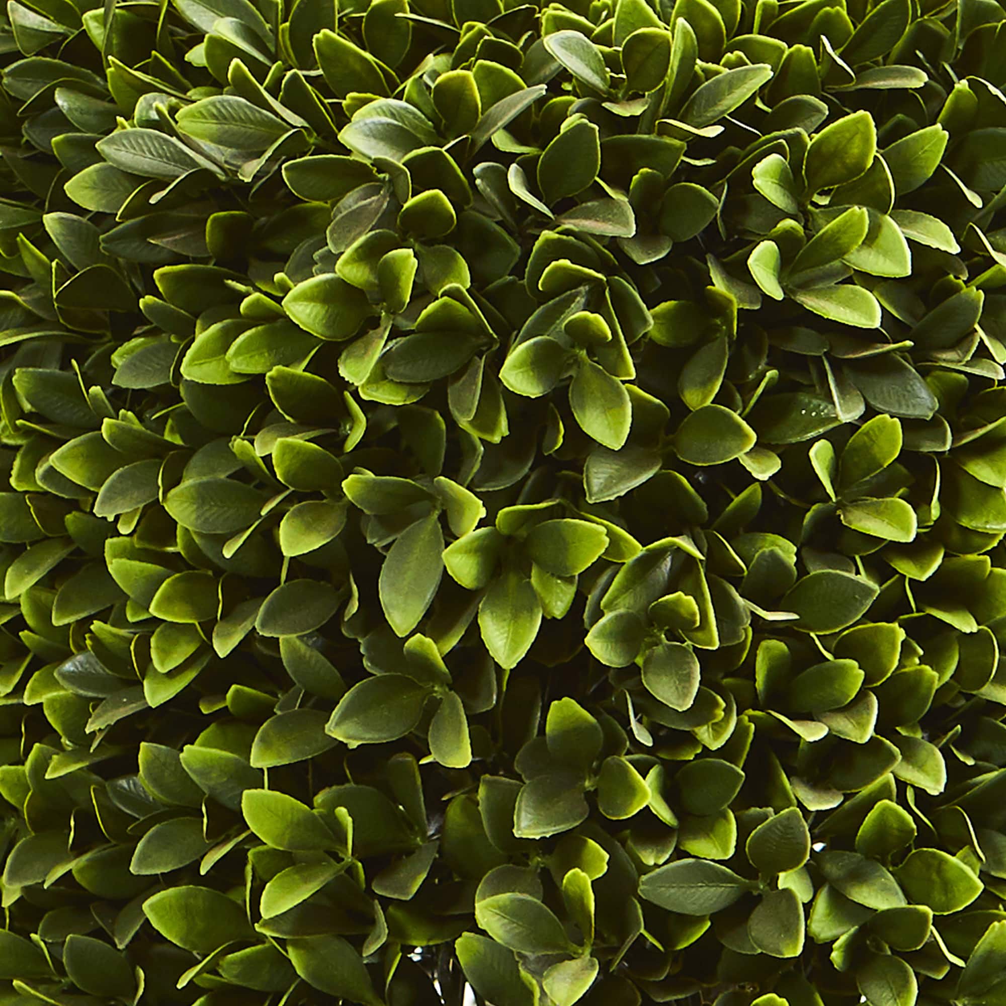 27" Boxwood Artificial Plant in Black Planter