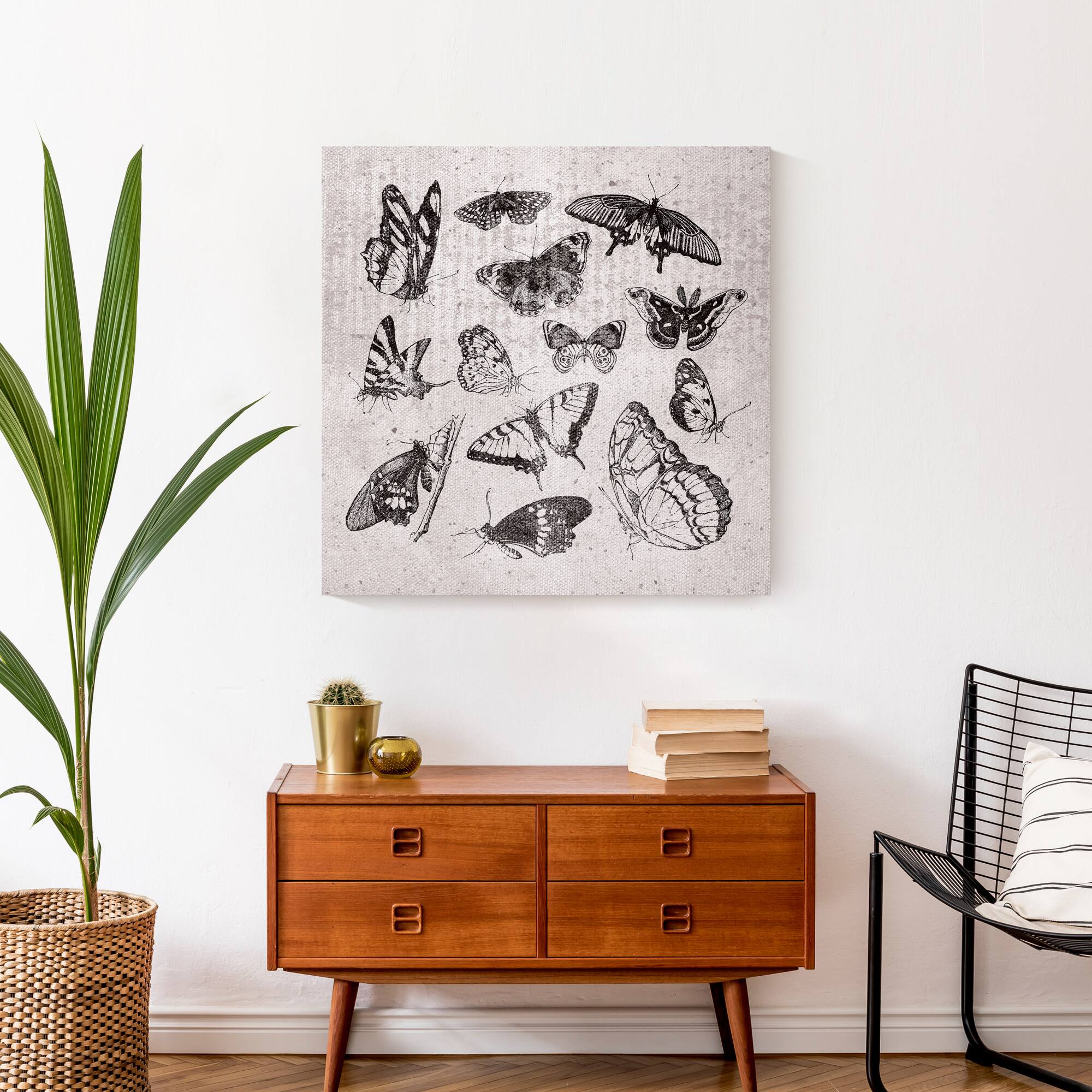 Grayscale Butterflies 24" x 24" Canvas Wall Art