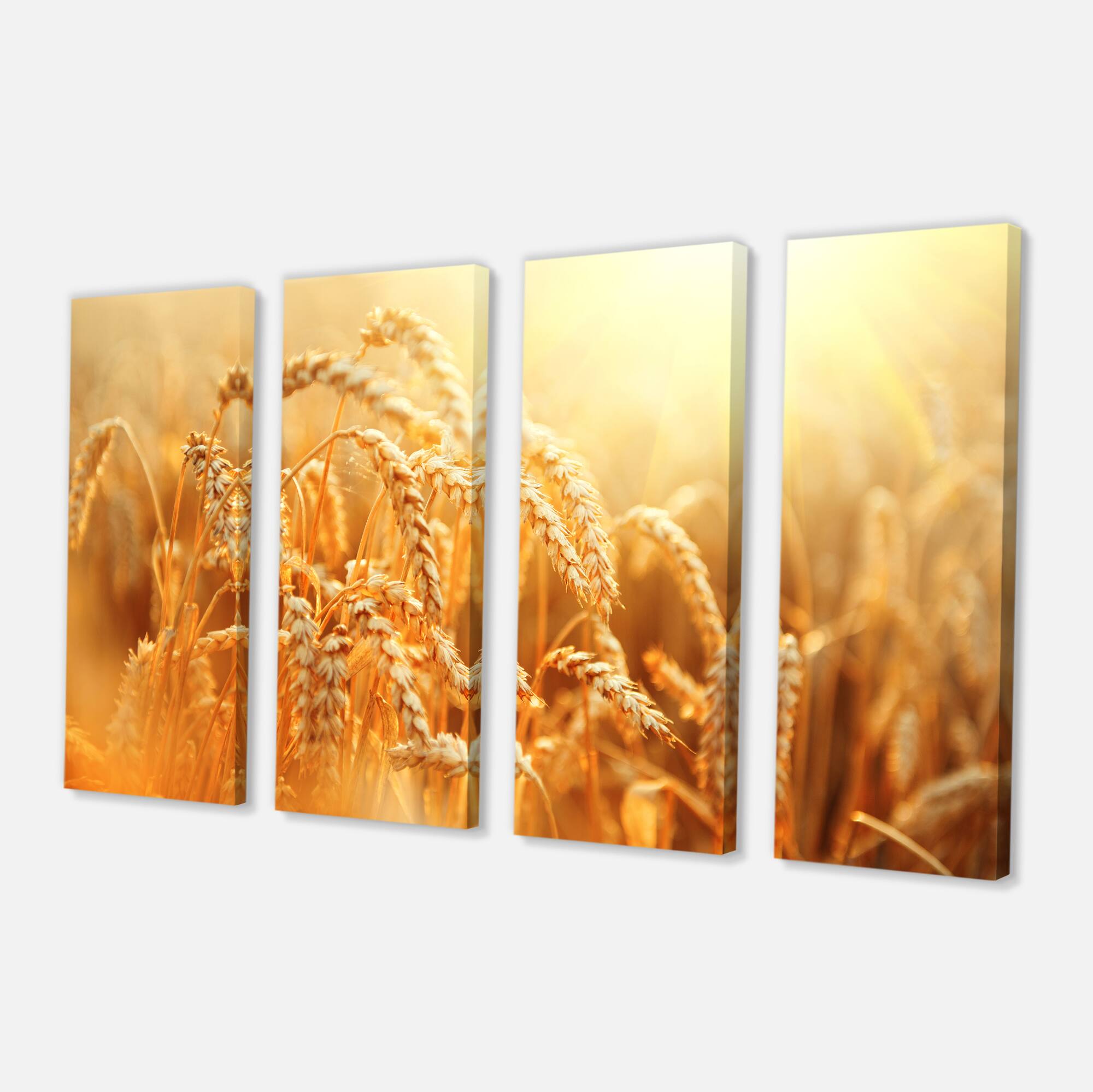 Designart - Ears of Golden Wheat Close up