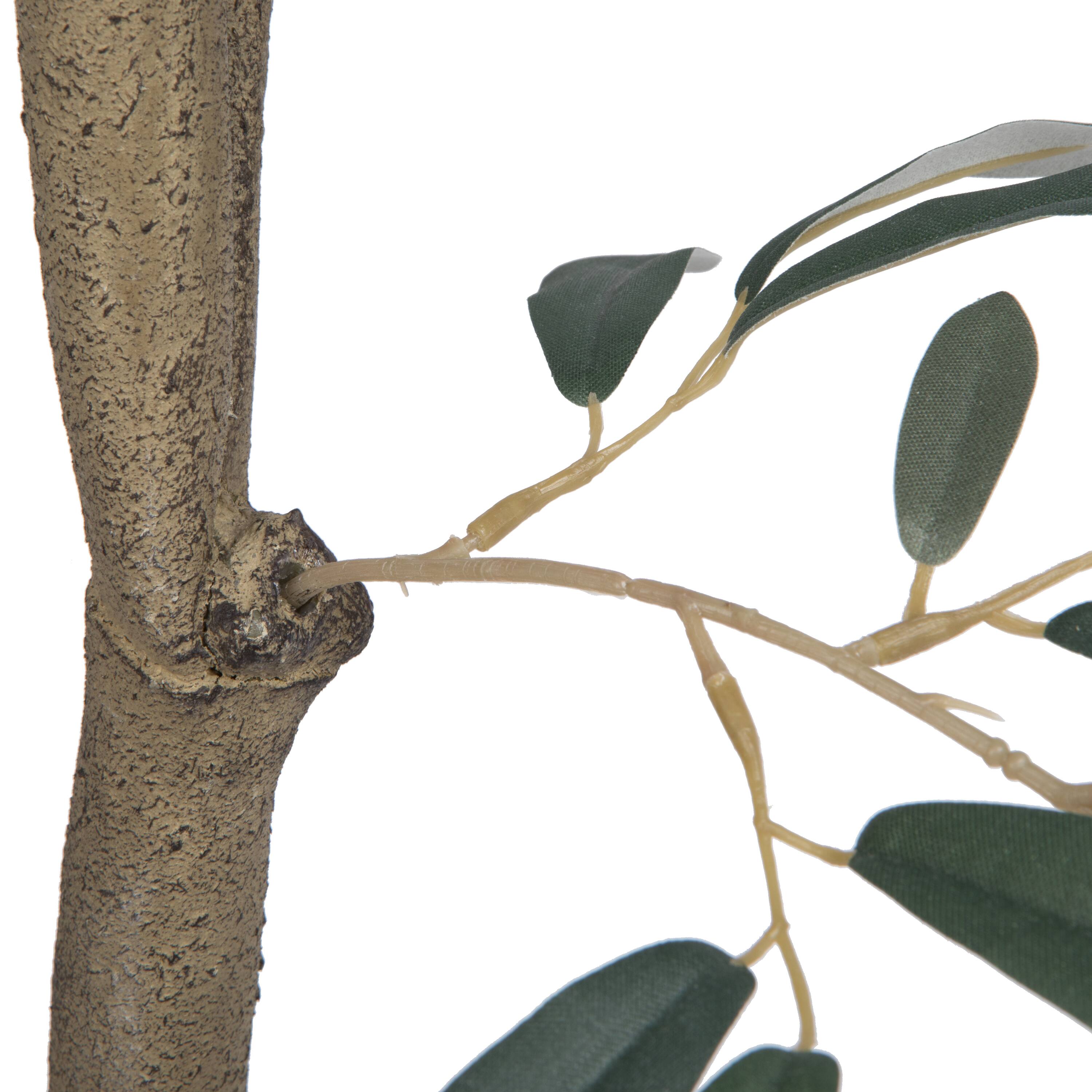 8ft. Potted Olive Tree