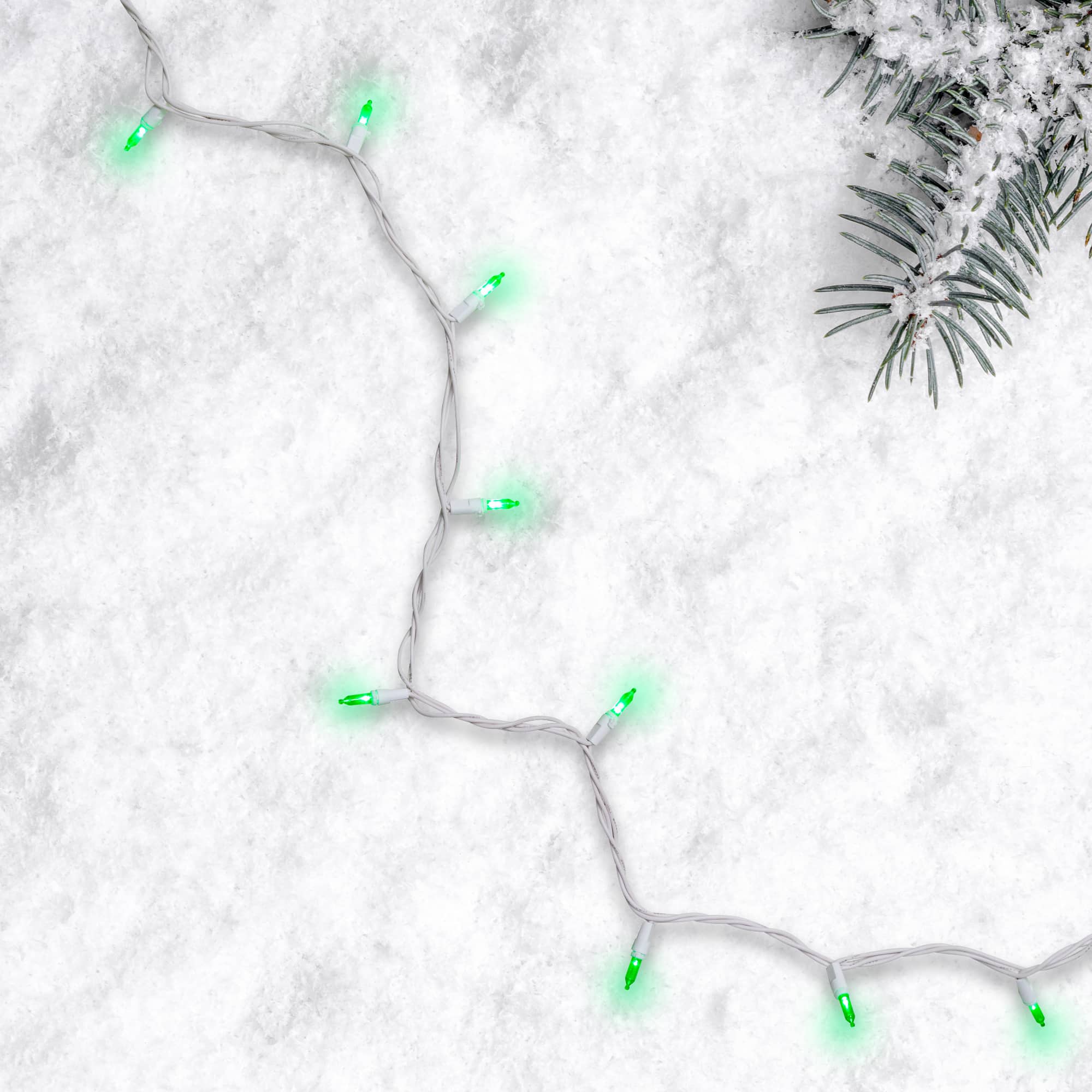 50ct. Mini LED Christmas Lights