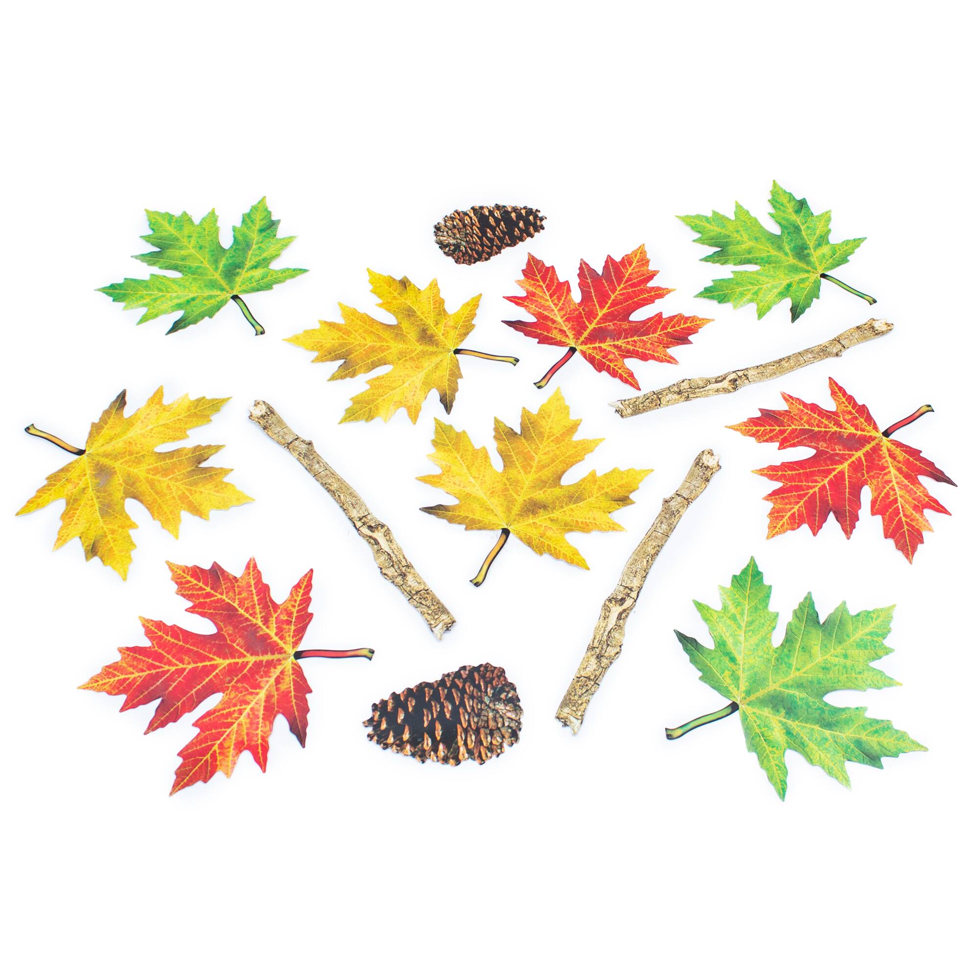 Junior Learning® Nature Trail Educational Floor Stickers