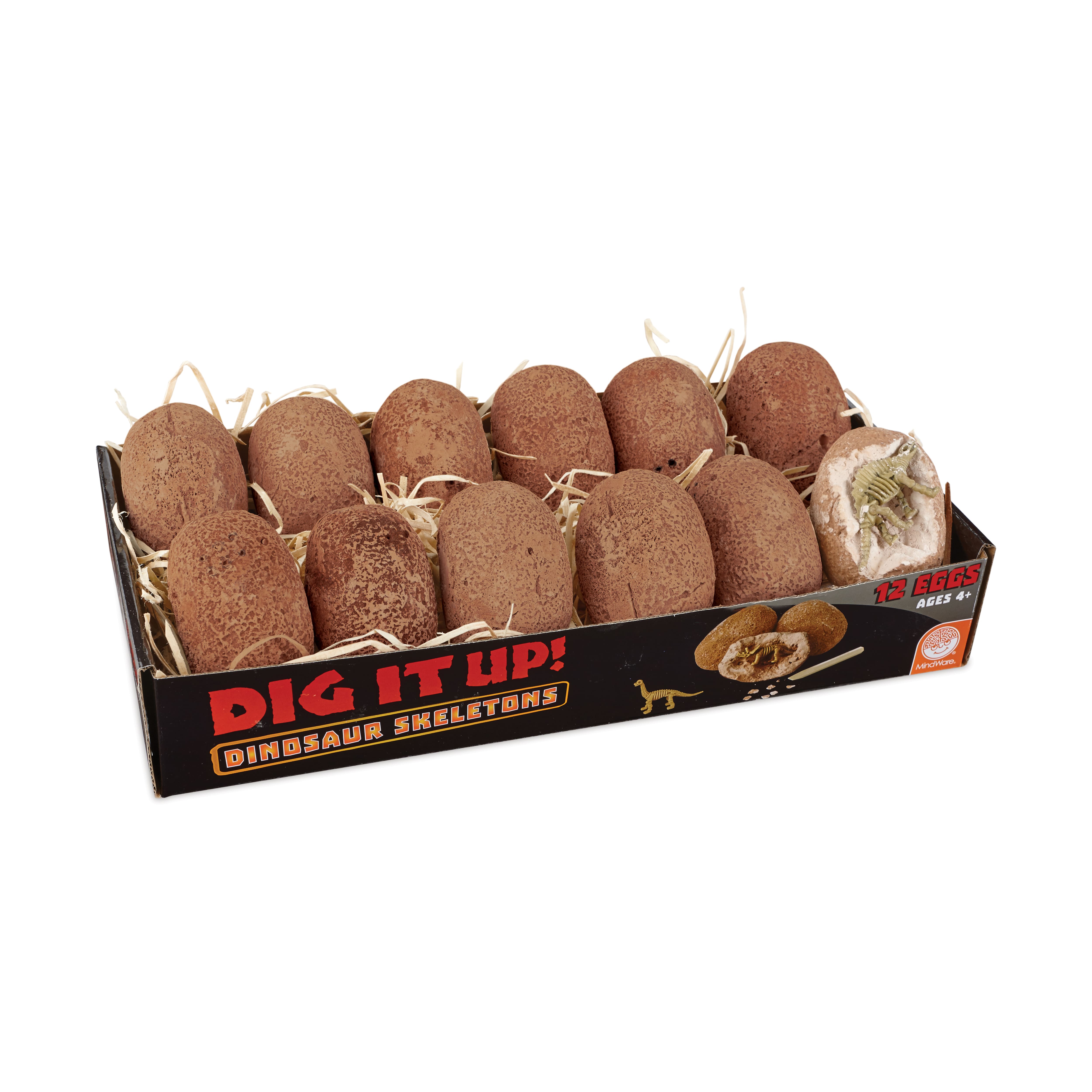 Dig It Up! - Dinosaur Skeletons