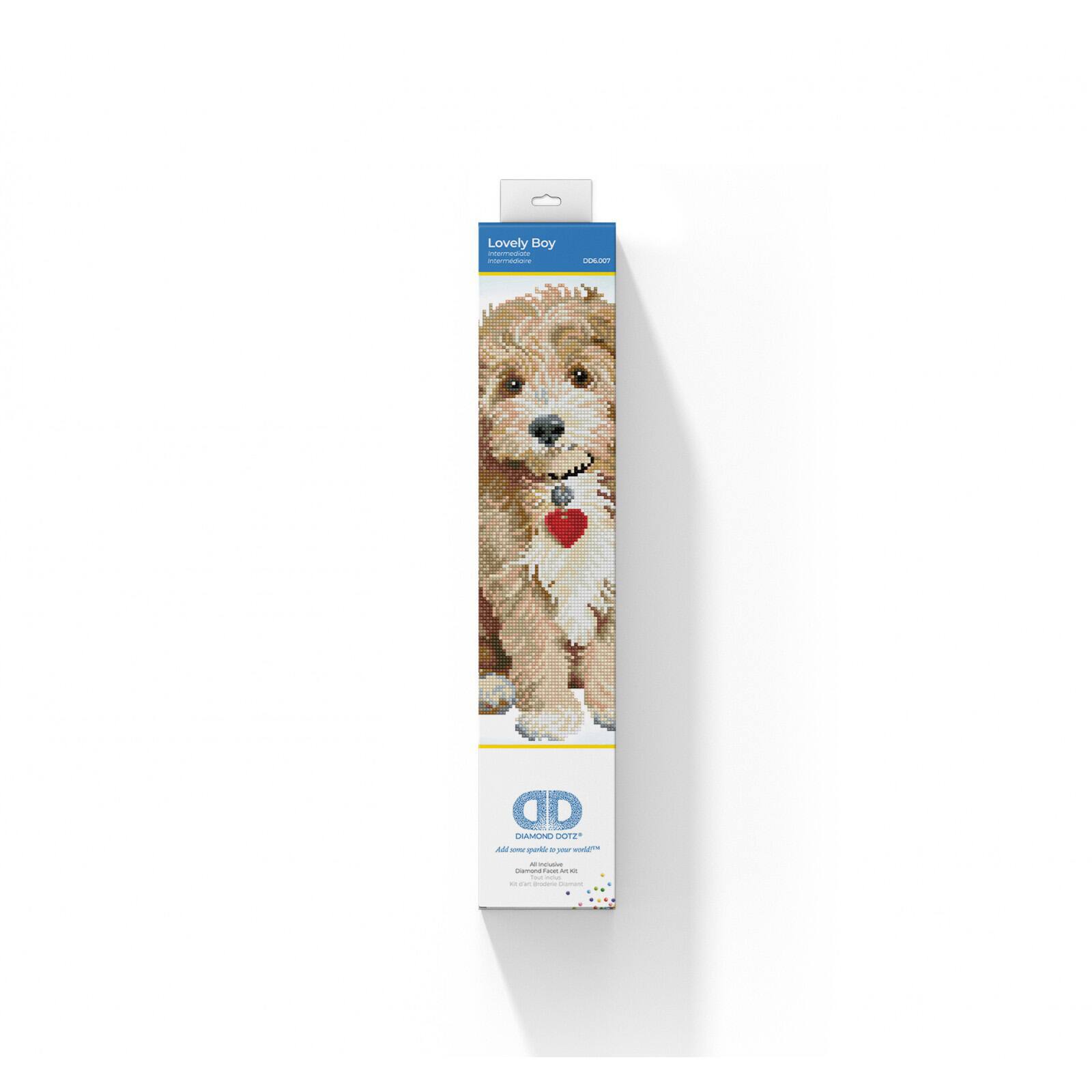 Diamond Dotz® Lovely Boy Diamond Painting Artwork Kit
