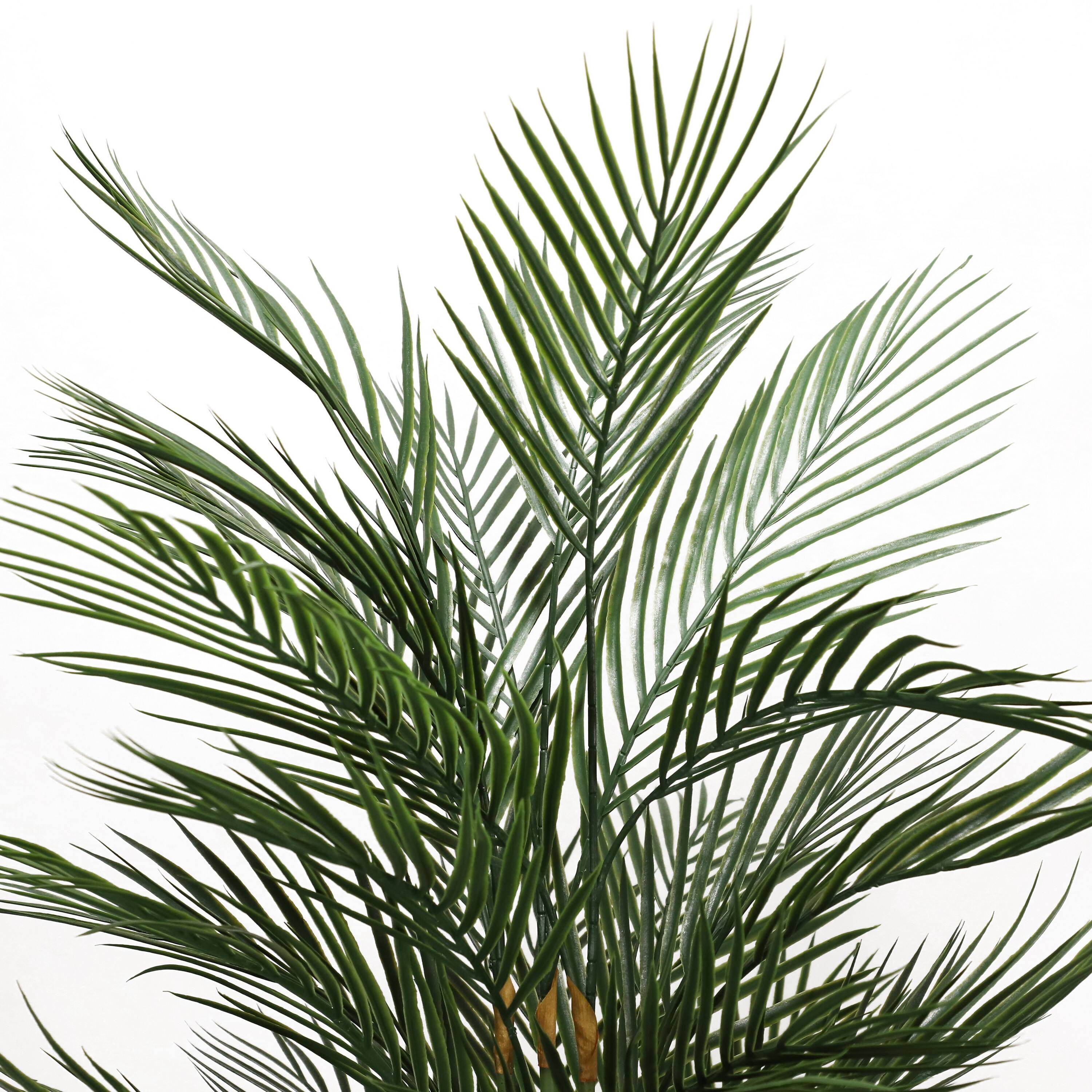 6 Pack: 5.5ft. Potted Areca Palm Tree