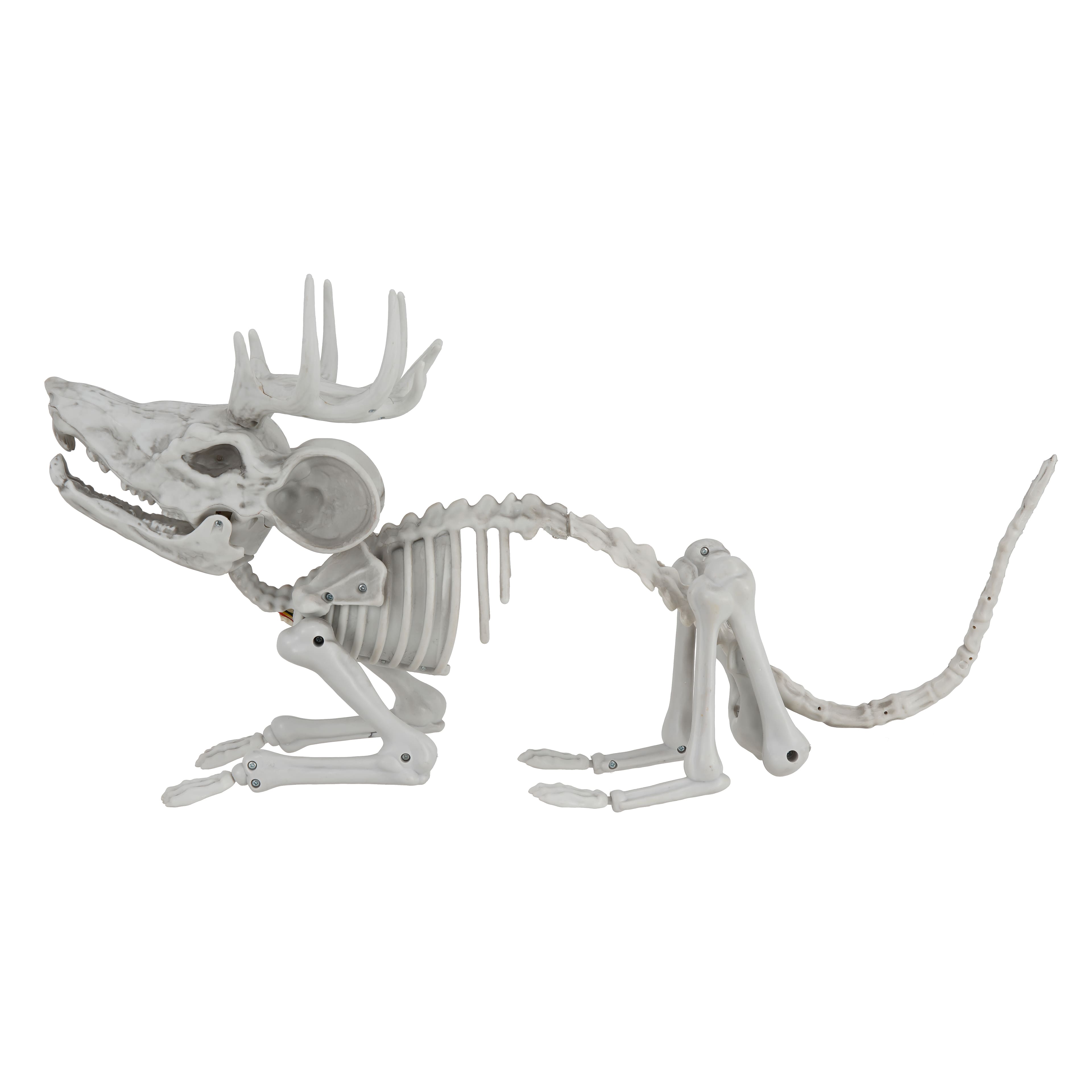 19" Animated Antler Mouse Skeleton by Ashland®