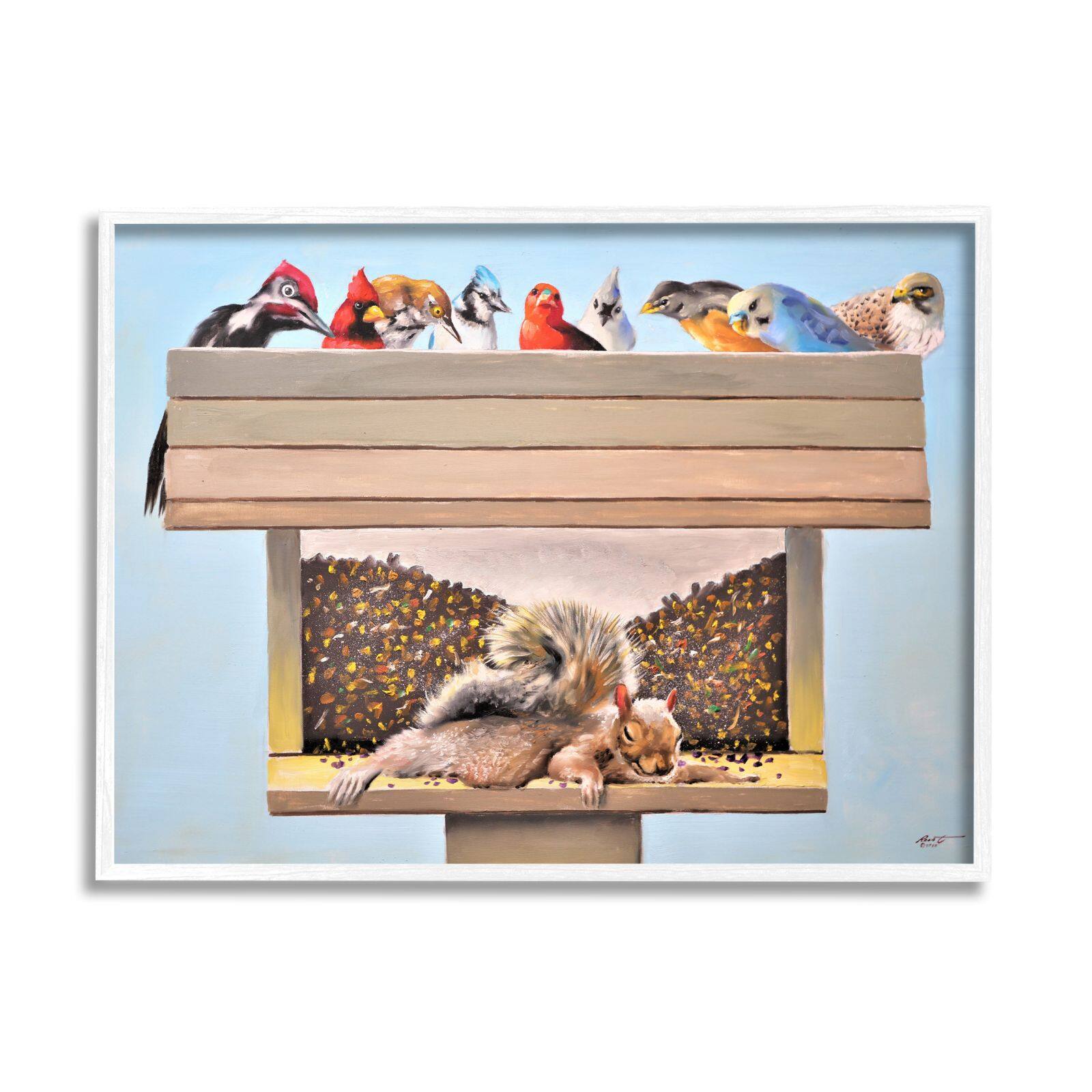 Stupell Industries Squirrel Sleeping Crowded Bird Feeder Funny Backyard Animals Framed Wall Art