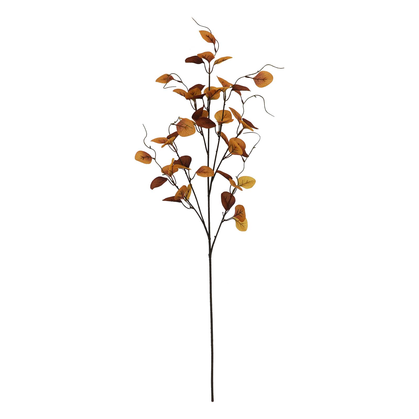39" Yellow & Brown Eucalyptus Stem by Ashland®
