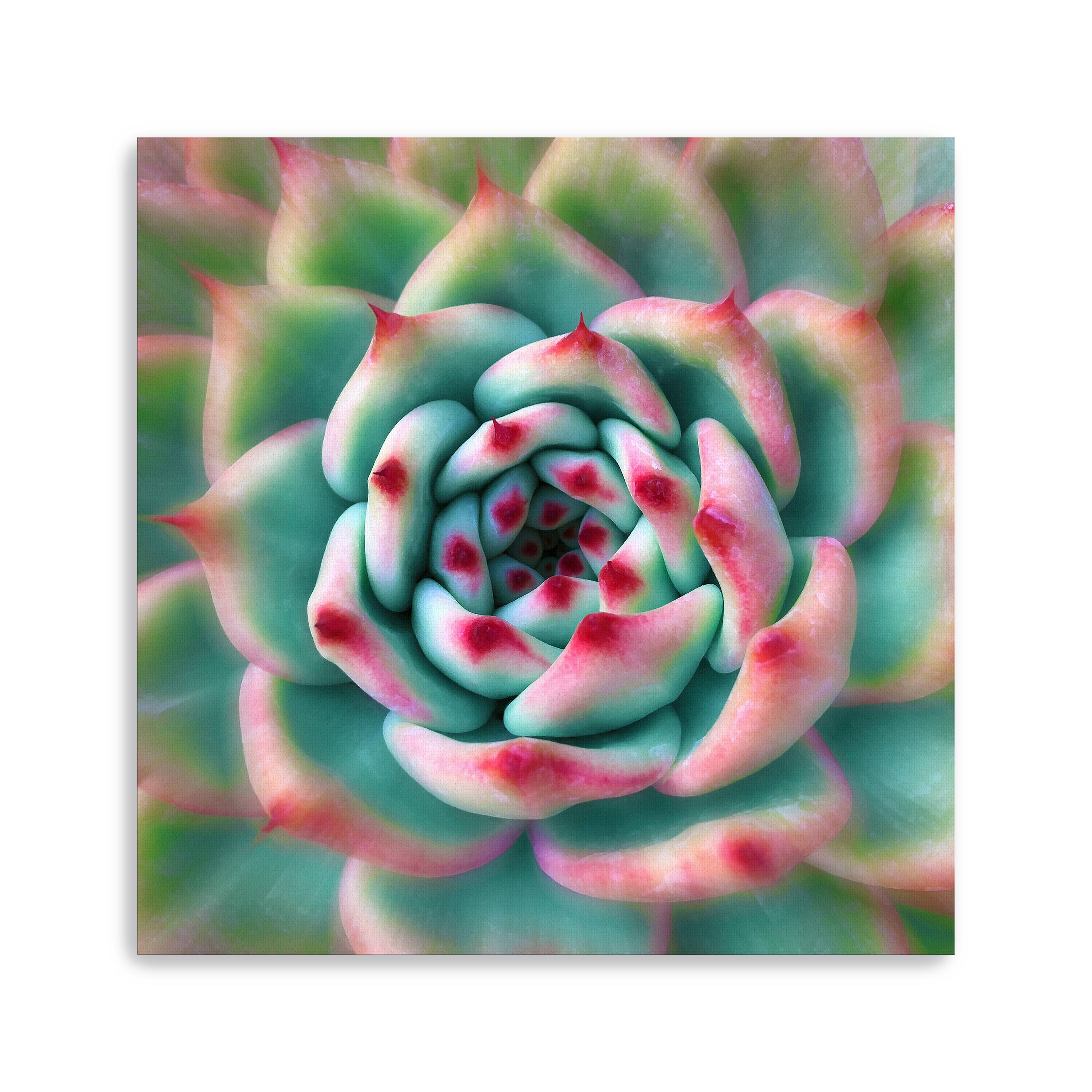 Lumaprints Deep Red Tips Canvas Giclée Wall Art