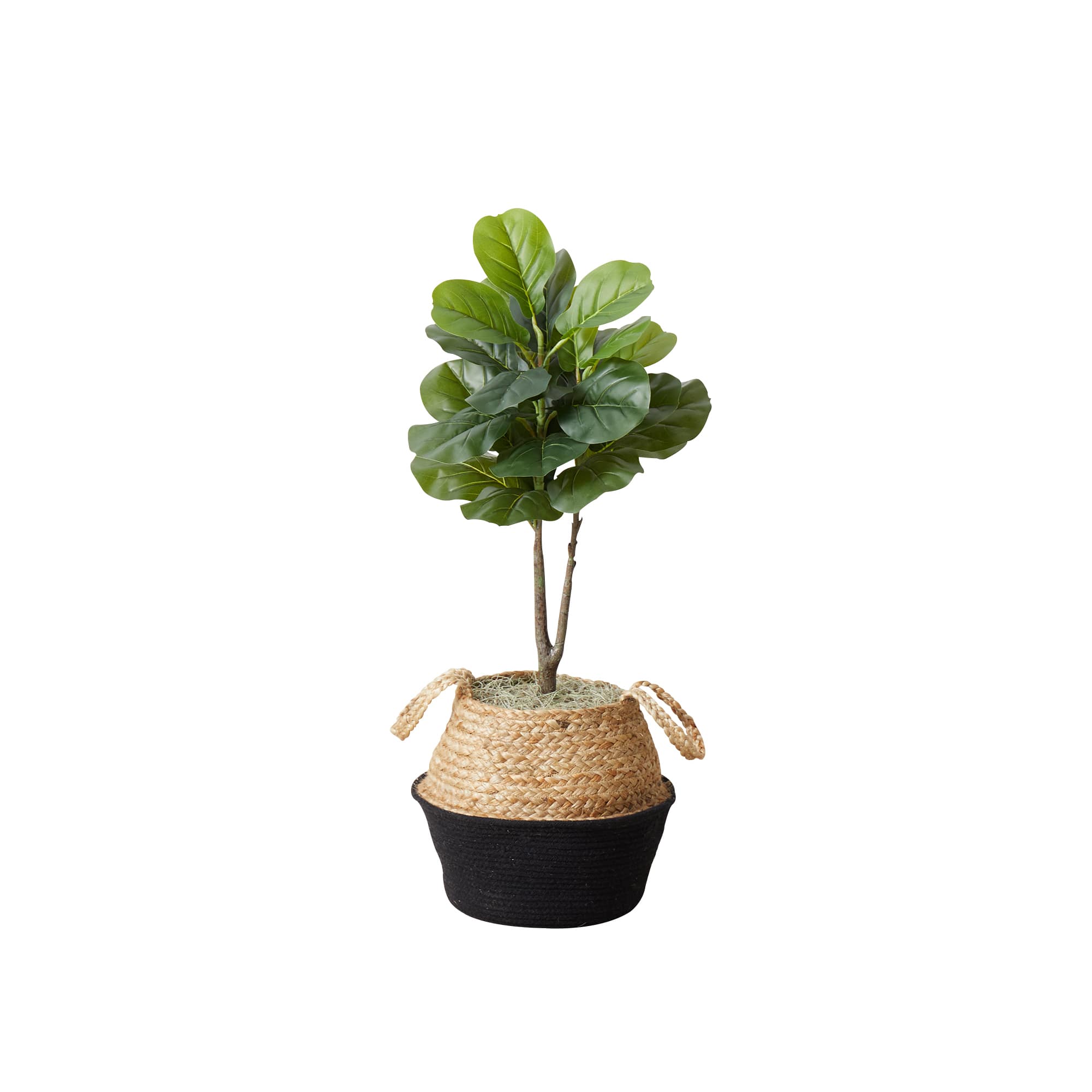 3ft. Artificial Fiddle Leaf Fig Tree With Handmade Cotton & Jute Woven Basket DIY Kit