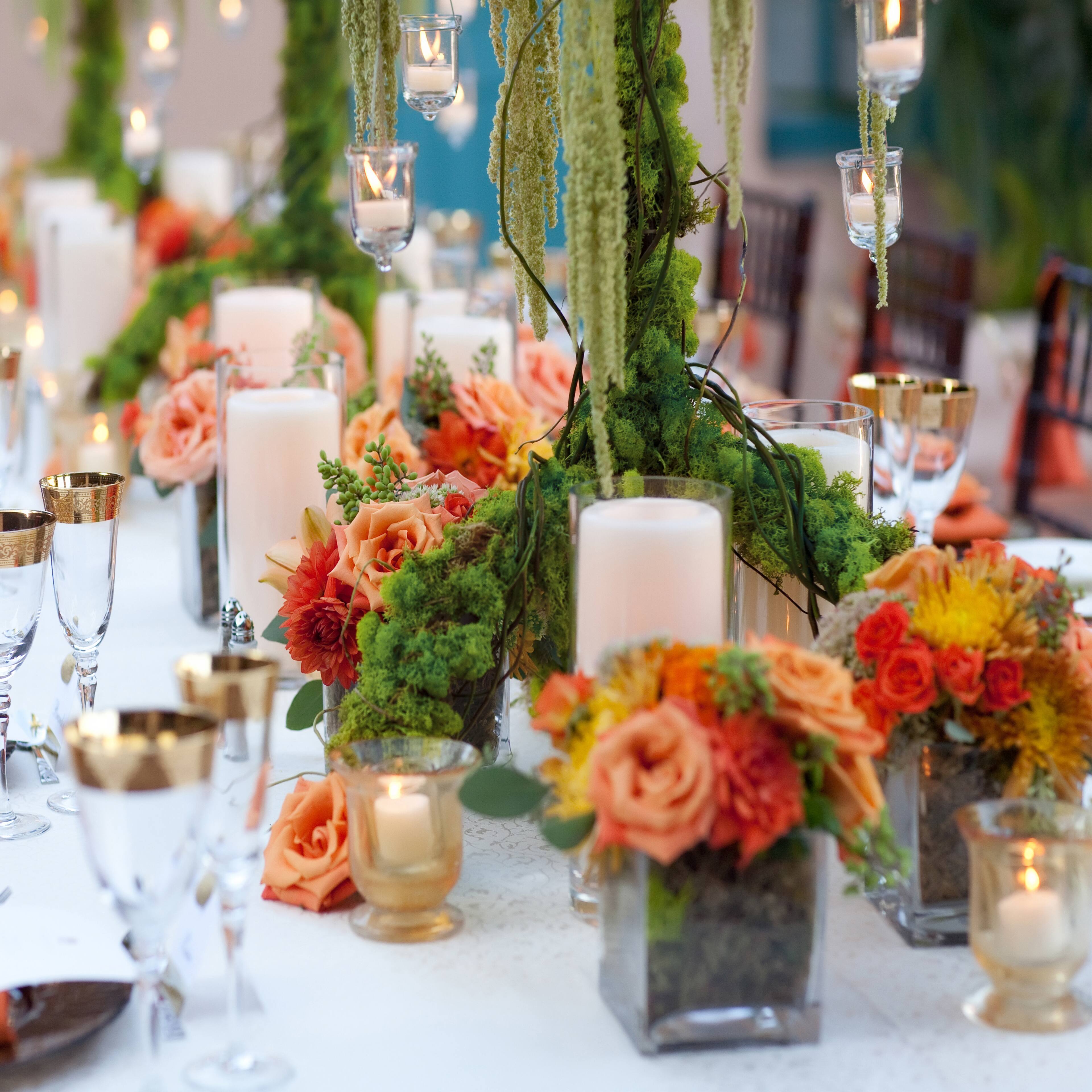 Mousse de caribou préservée couleur basilic de SuperMoss, 226,7 g