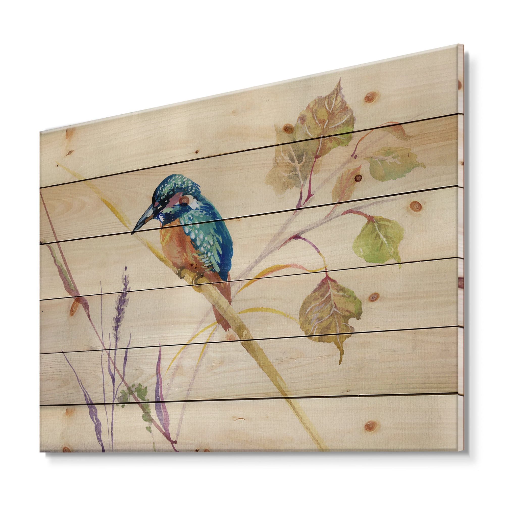 Designart - Common Kingfisher Bird