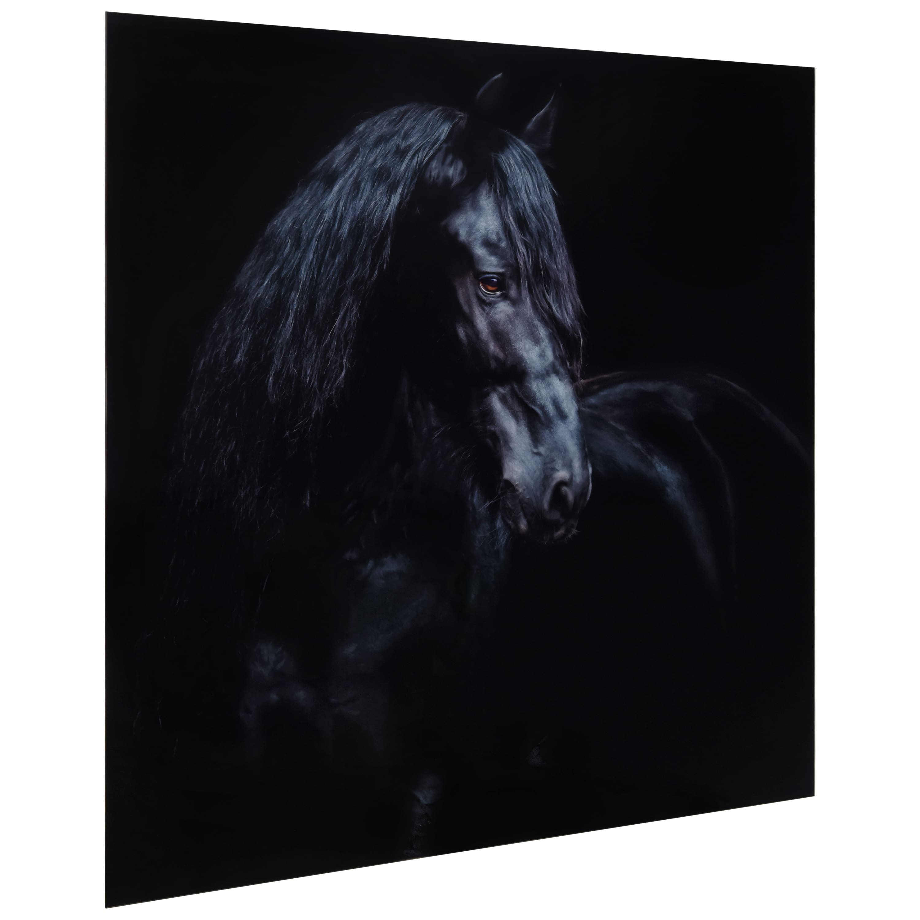 Empire Art Direct 38" x 38" Black Equine Attraction Frameless Printed Tempered Glass Wall Art