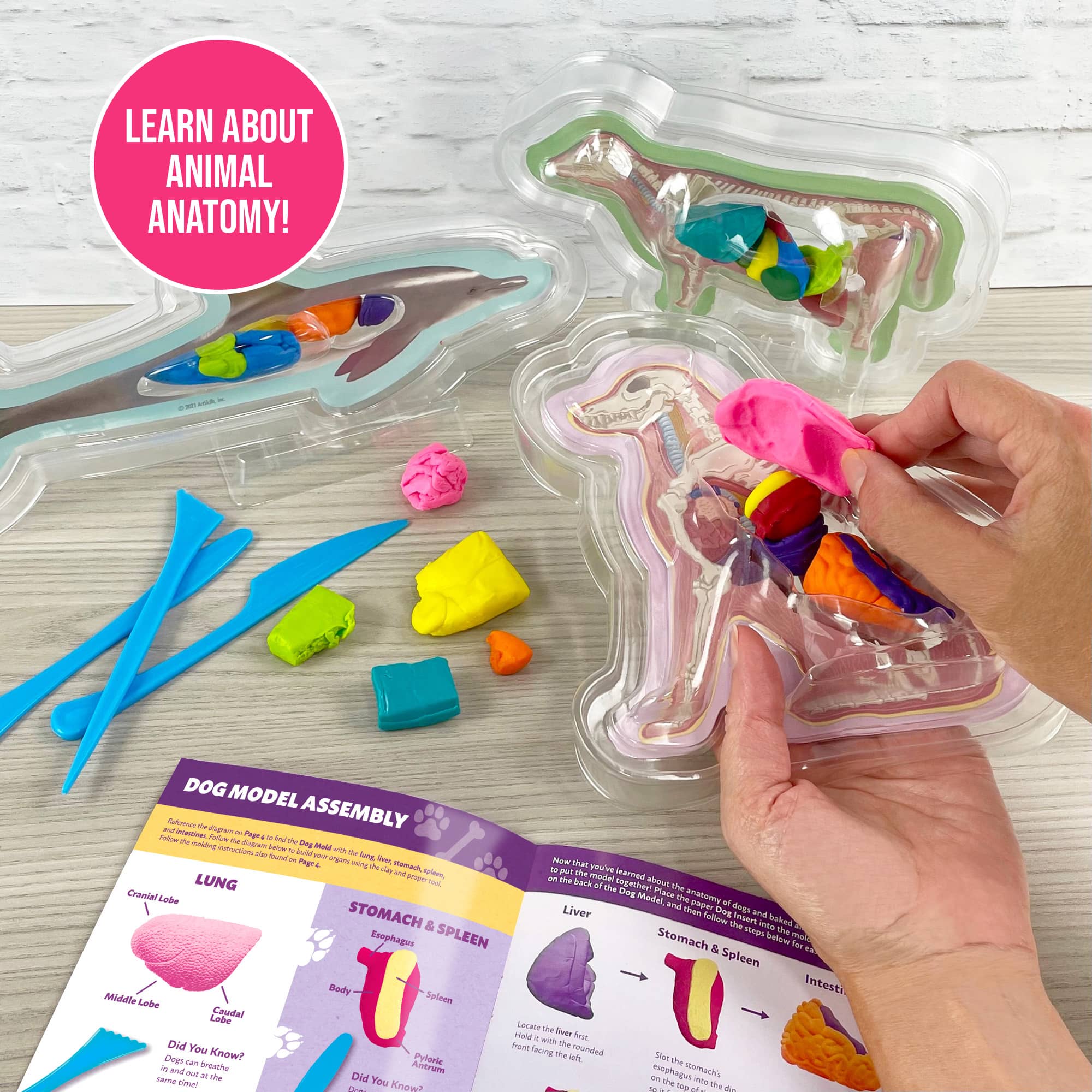 ArtSkills® Epic Lab Veterinary Science STEM Kit