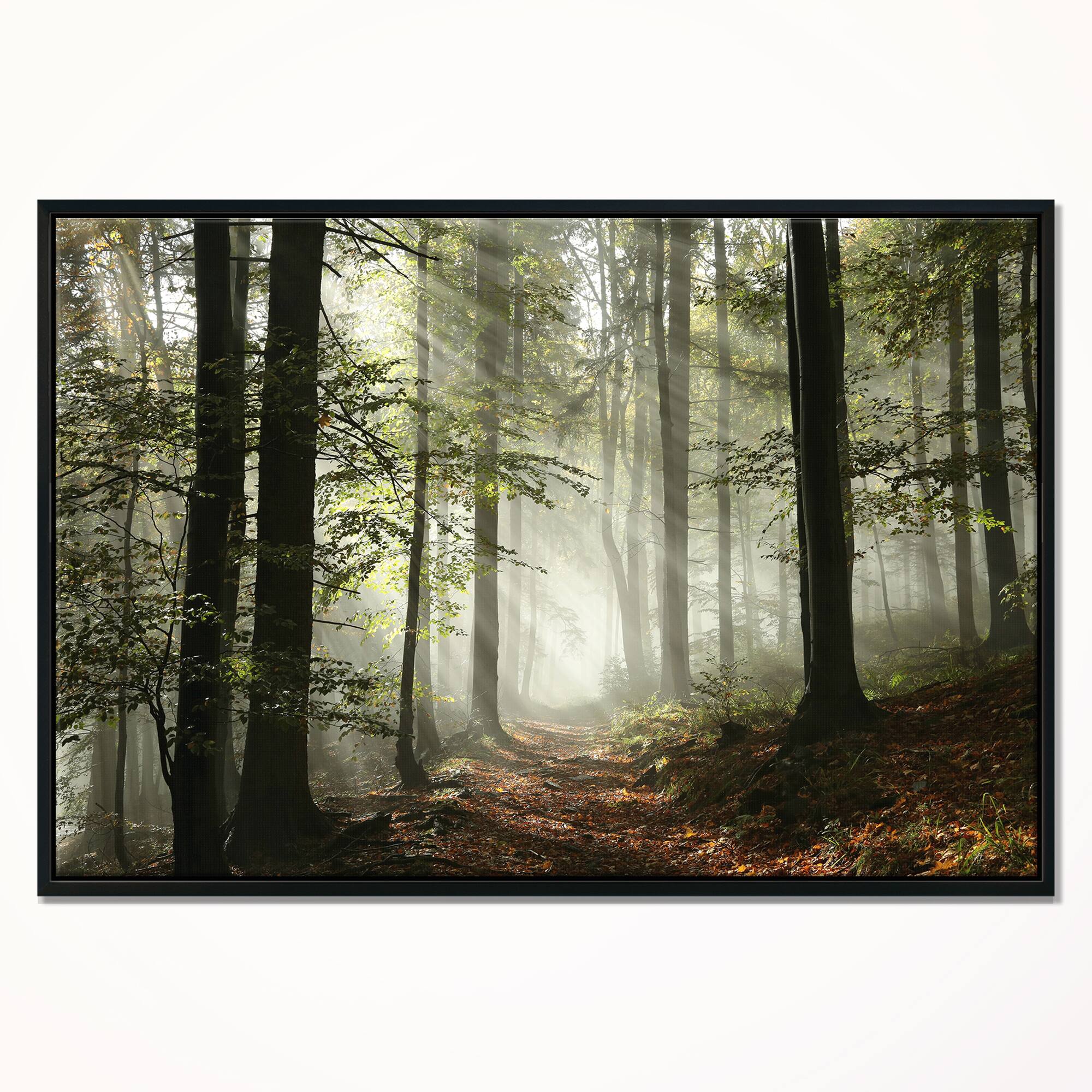 Designart - Light in Dense Fall Forest with Fog