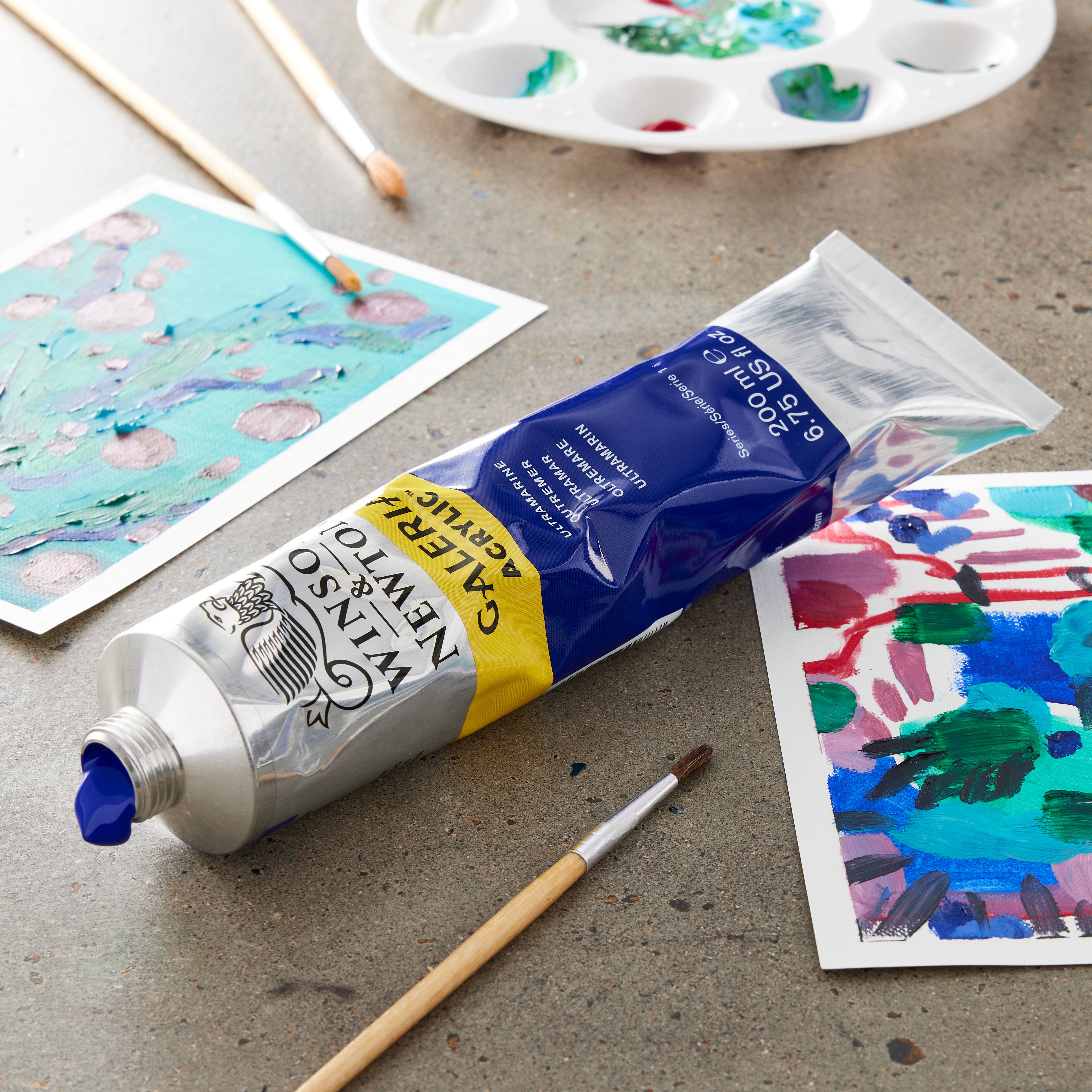 12 Pack: Winsor & Newton™ Galeria Acrylic™ Paint, 200mL