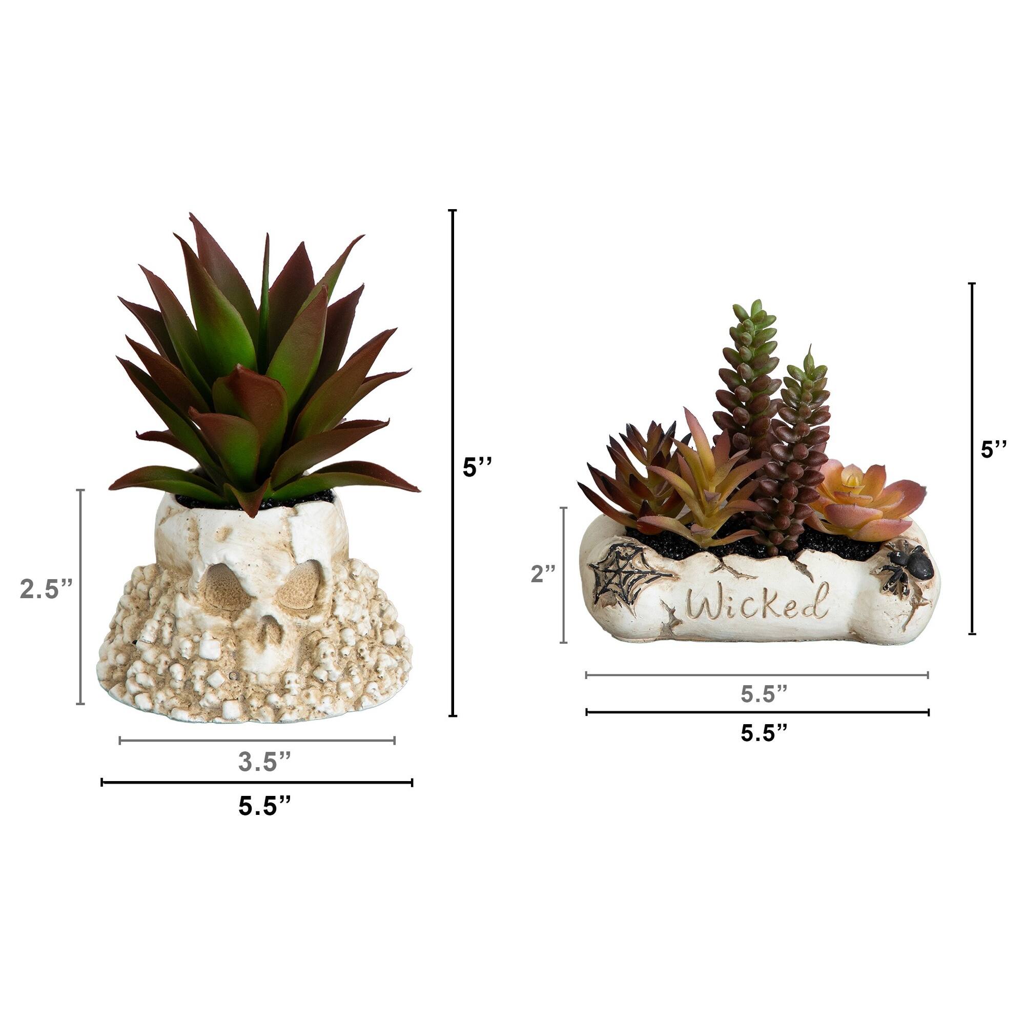 5" Artificial Halloween Succulent Garden in Haunted Planters Set