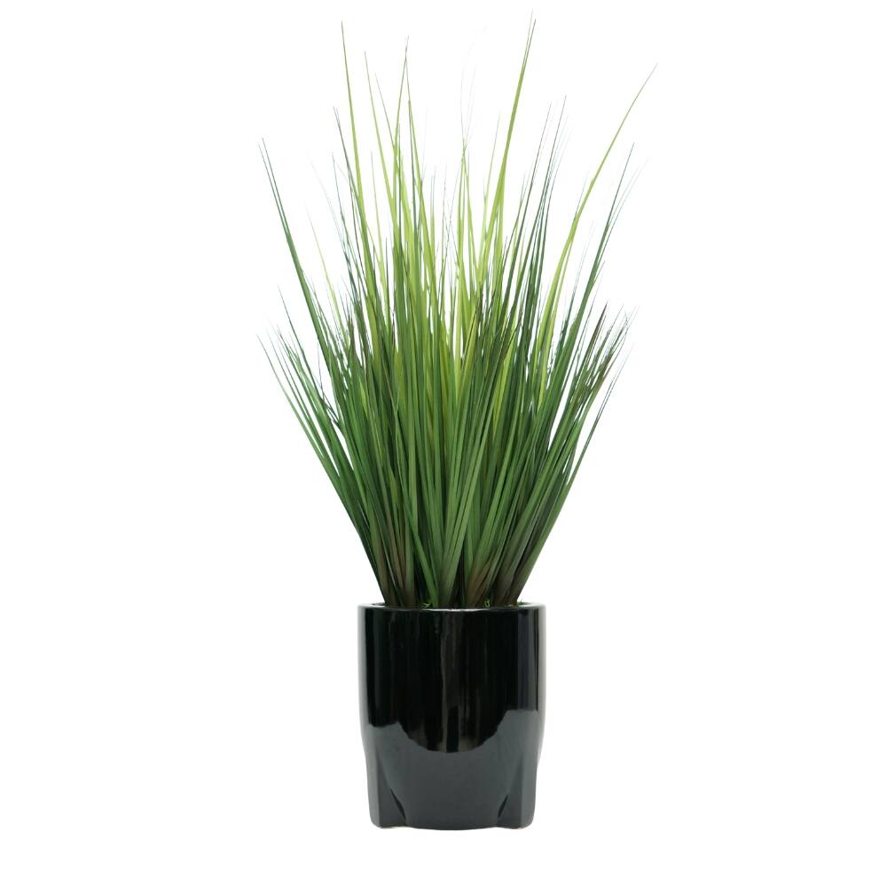 House of Silk Flowers 30" Faux Ornamental Onion Grass in Glossy Black Tripod Ceramic Pot