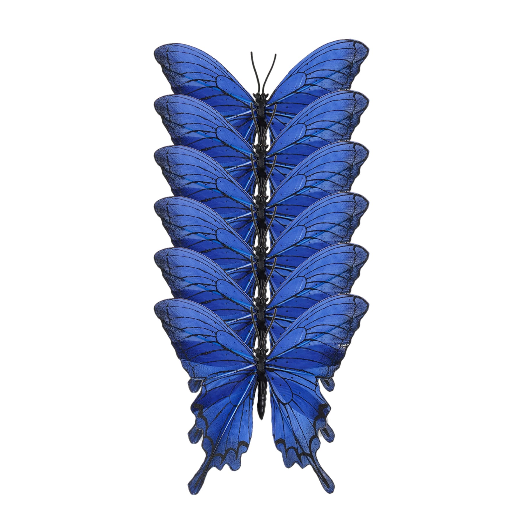 Papillons en plume bleu de 9 cm, 6 unités d’Ashland