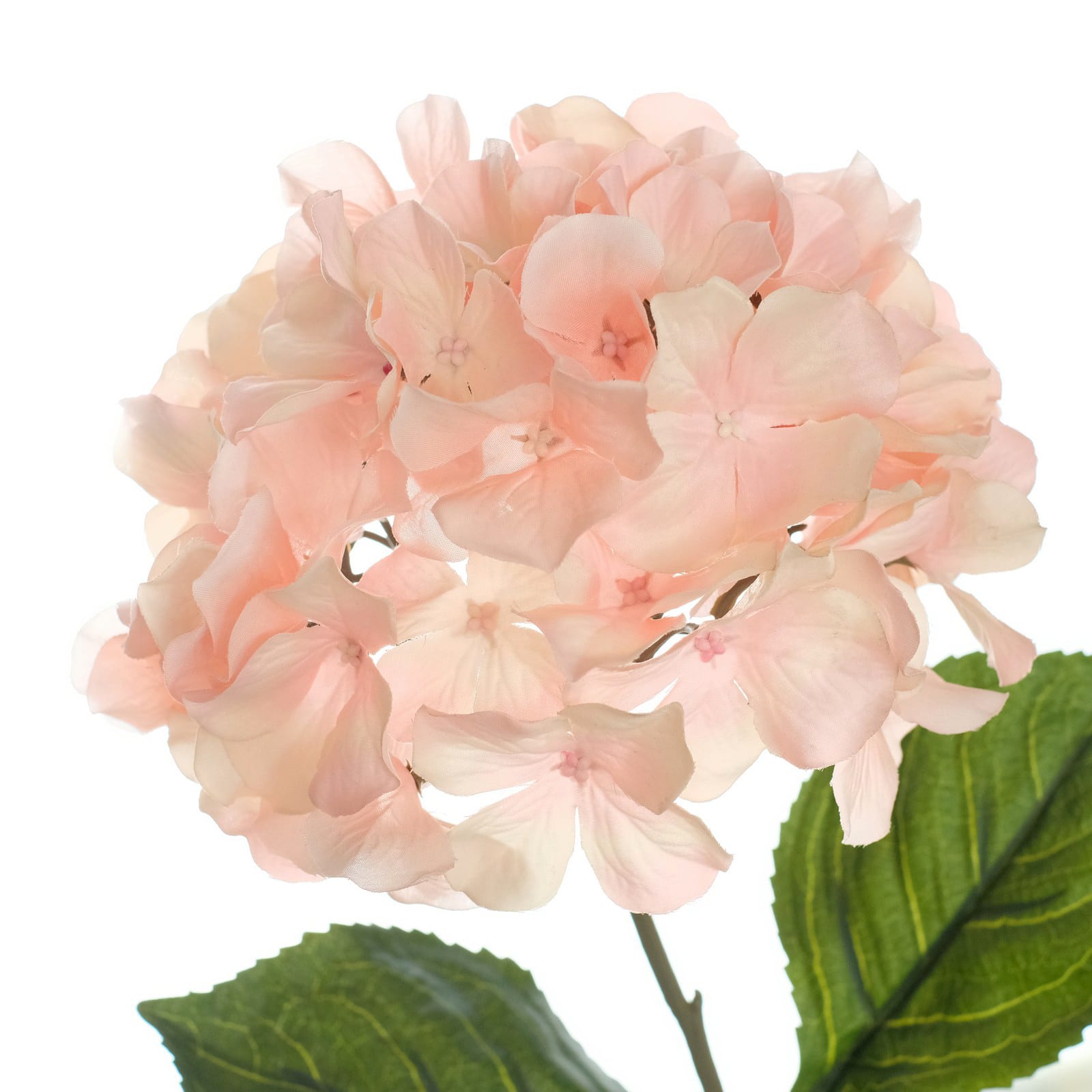 12 Pack: Peach Pink Hydrangea Stem by Ashland®