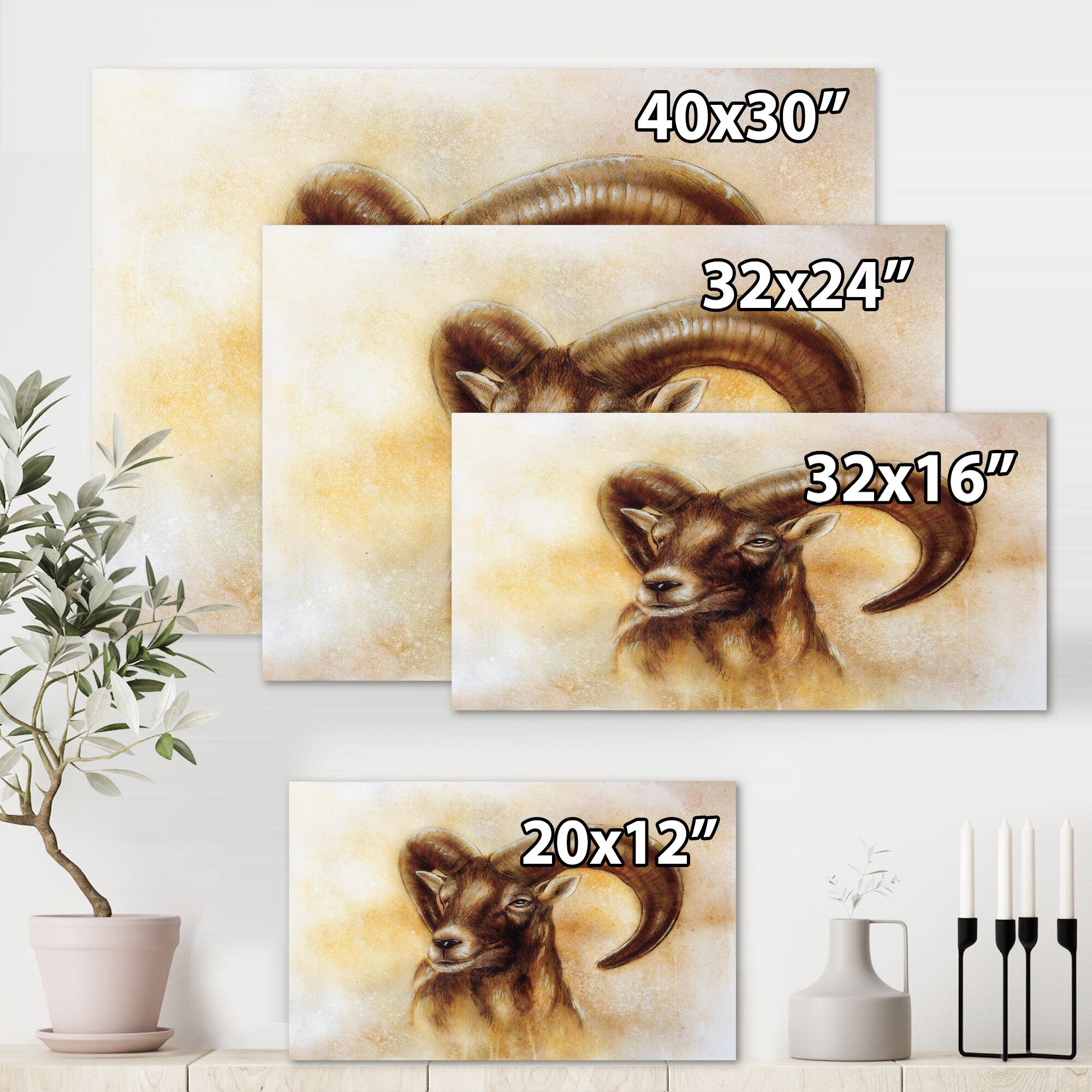 Designart - Portrait of Wild Ram With Mighty Horns I - Modern Canvas Wall Art Print