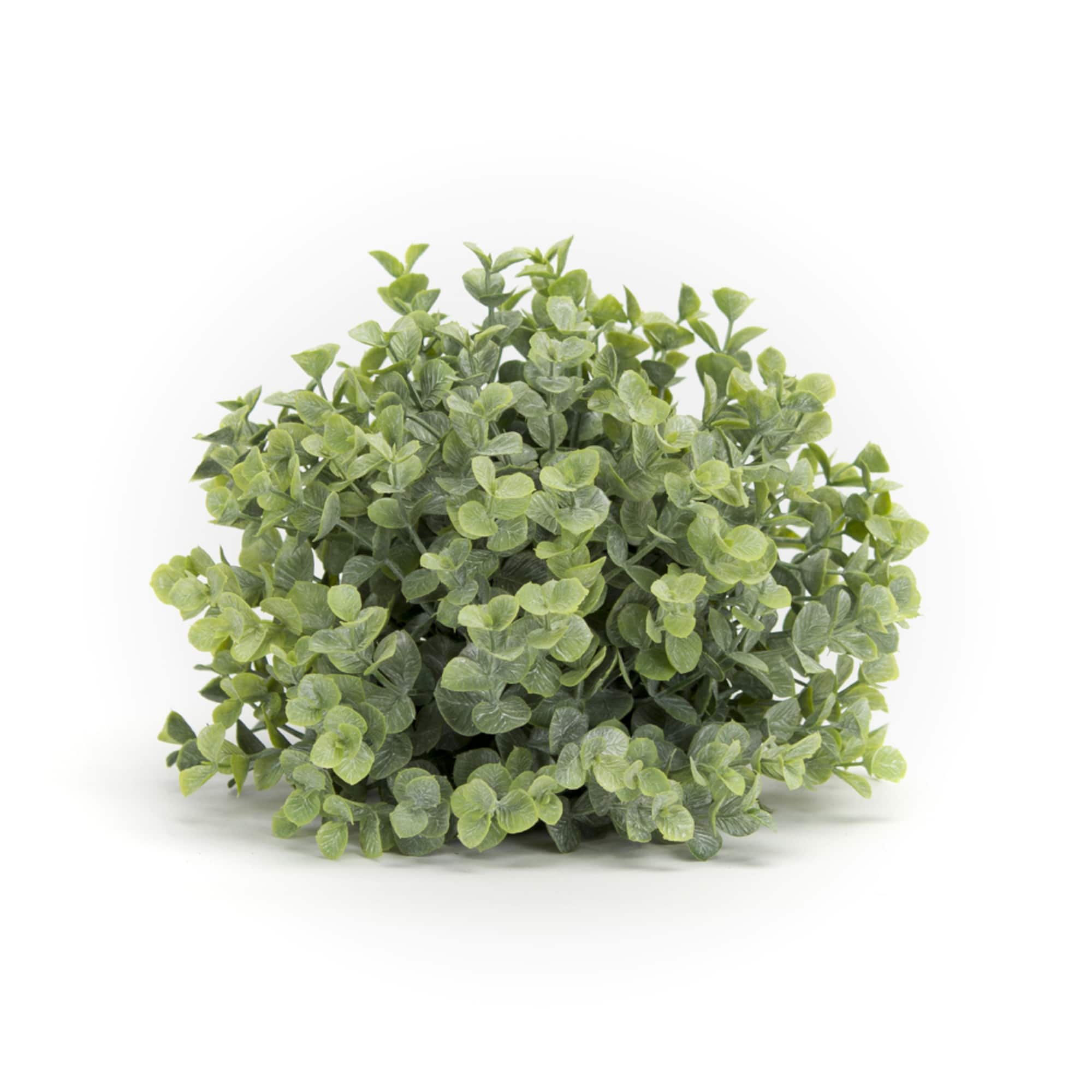 7" Boxwood Half Orb Set