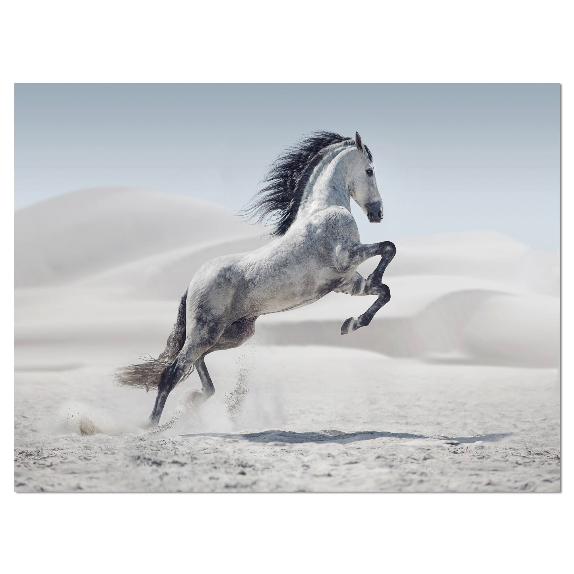 Designart - Galloping White Horse