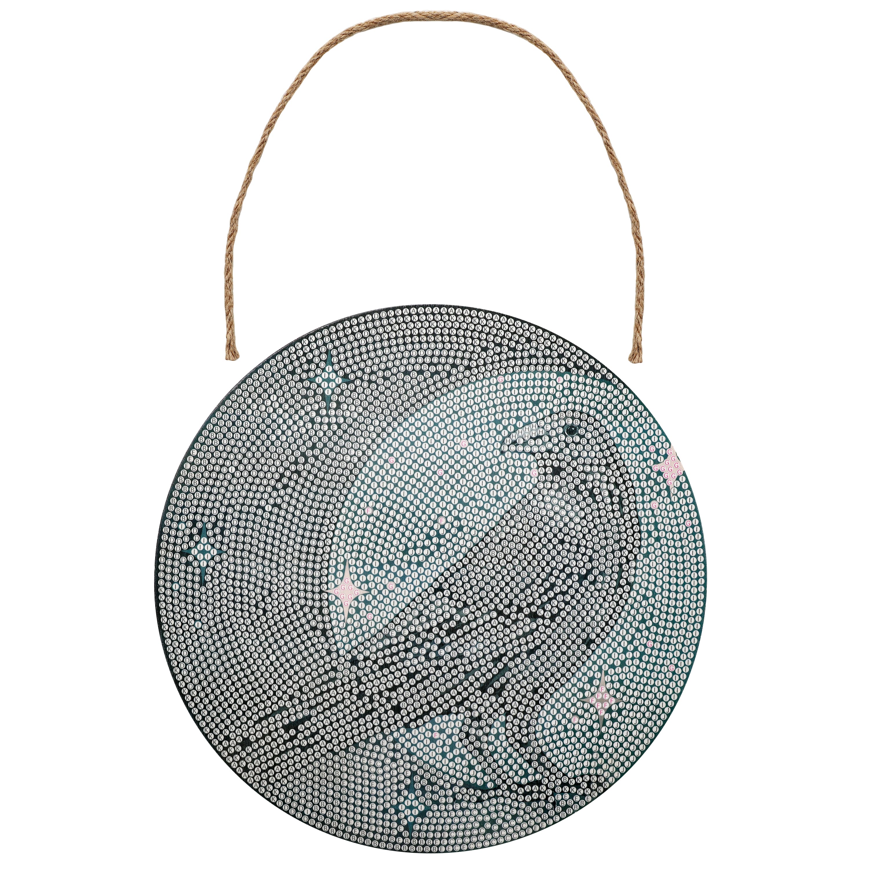8" Moon Crow Round Wood Plaque Diamond Art Kit by Make Market®