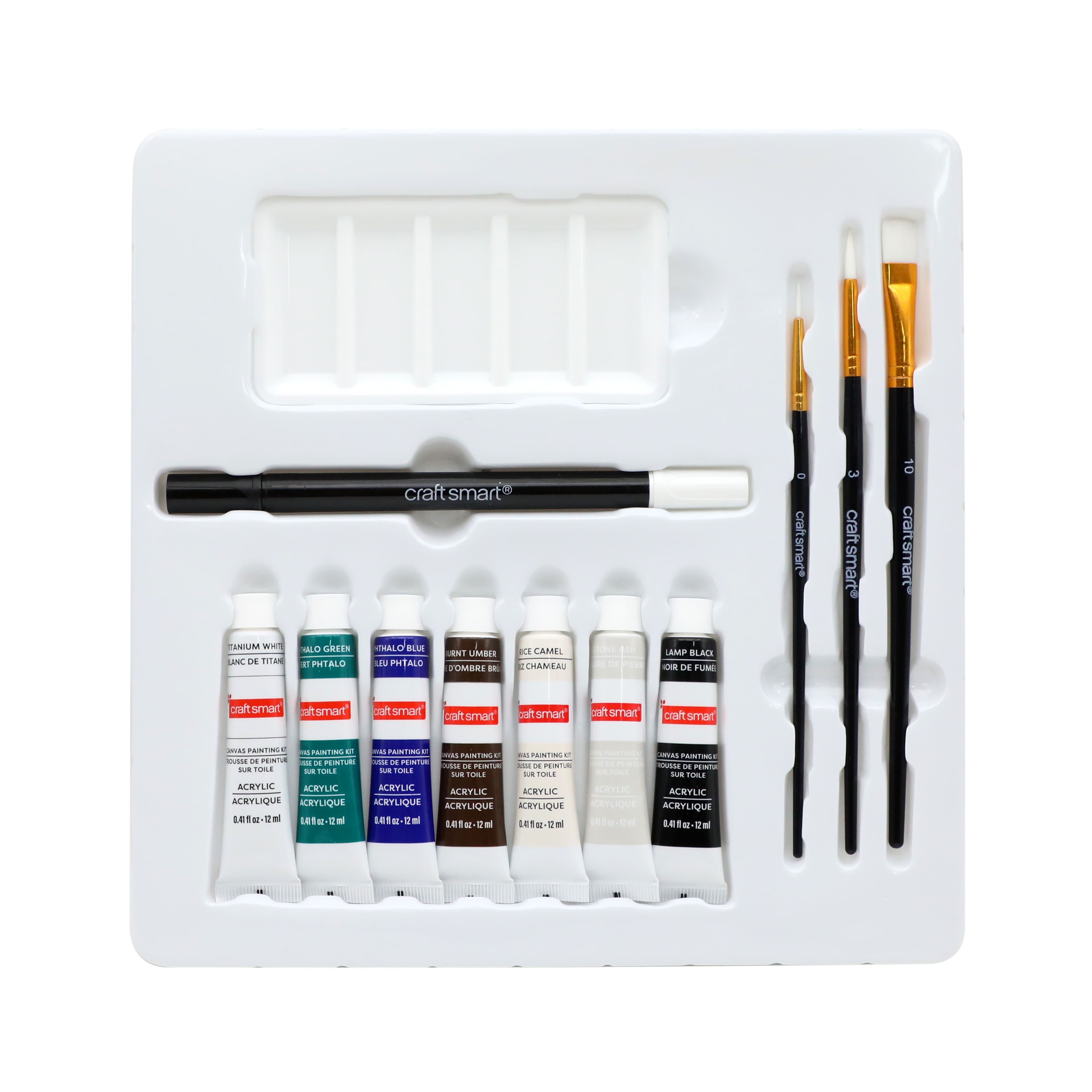 11" x 11" Moon & Bats Canvas Painting Kit by Craft Smart®