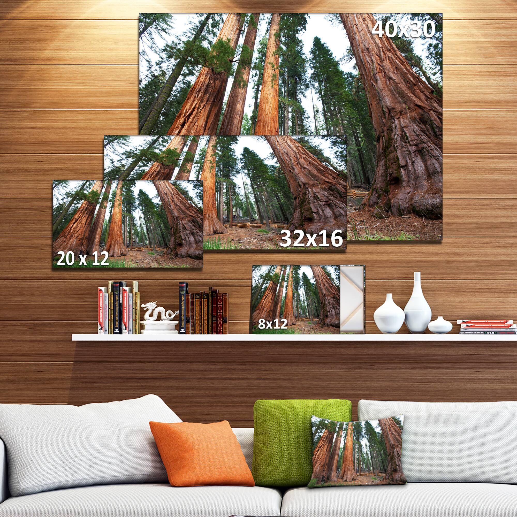 Designart - Three Large Sequoya Trees - African Landscape Canvas Art Print
