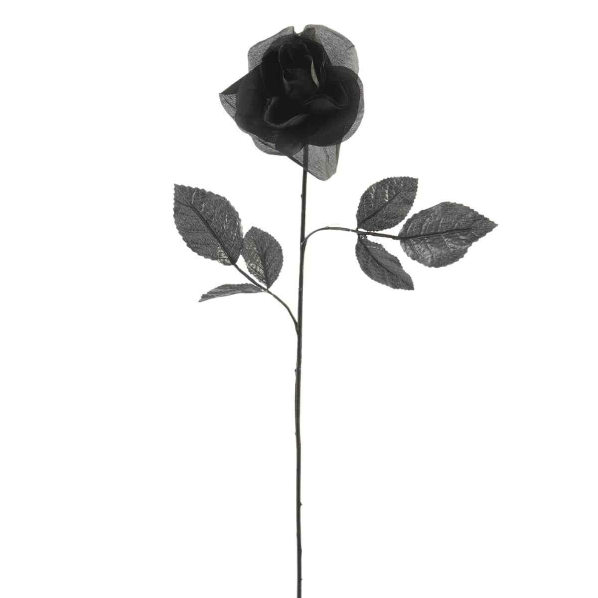 12 Pack: Black Open Rose Stem by Ashland™