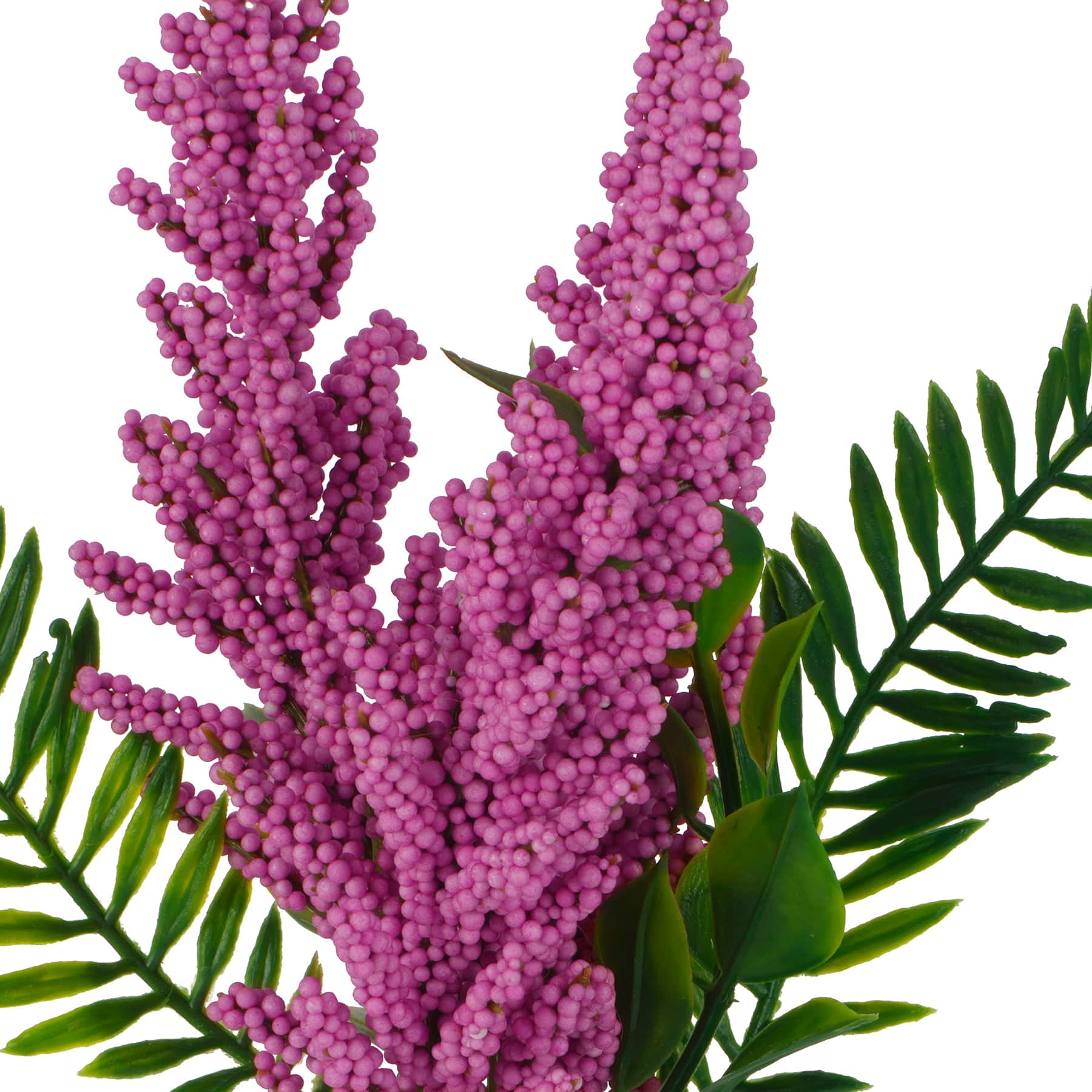 12" Berry Bush by Ashland