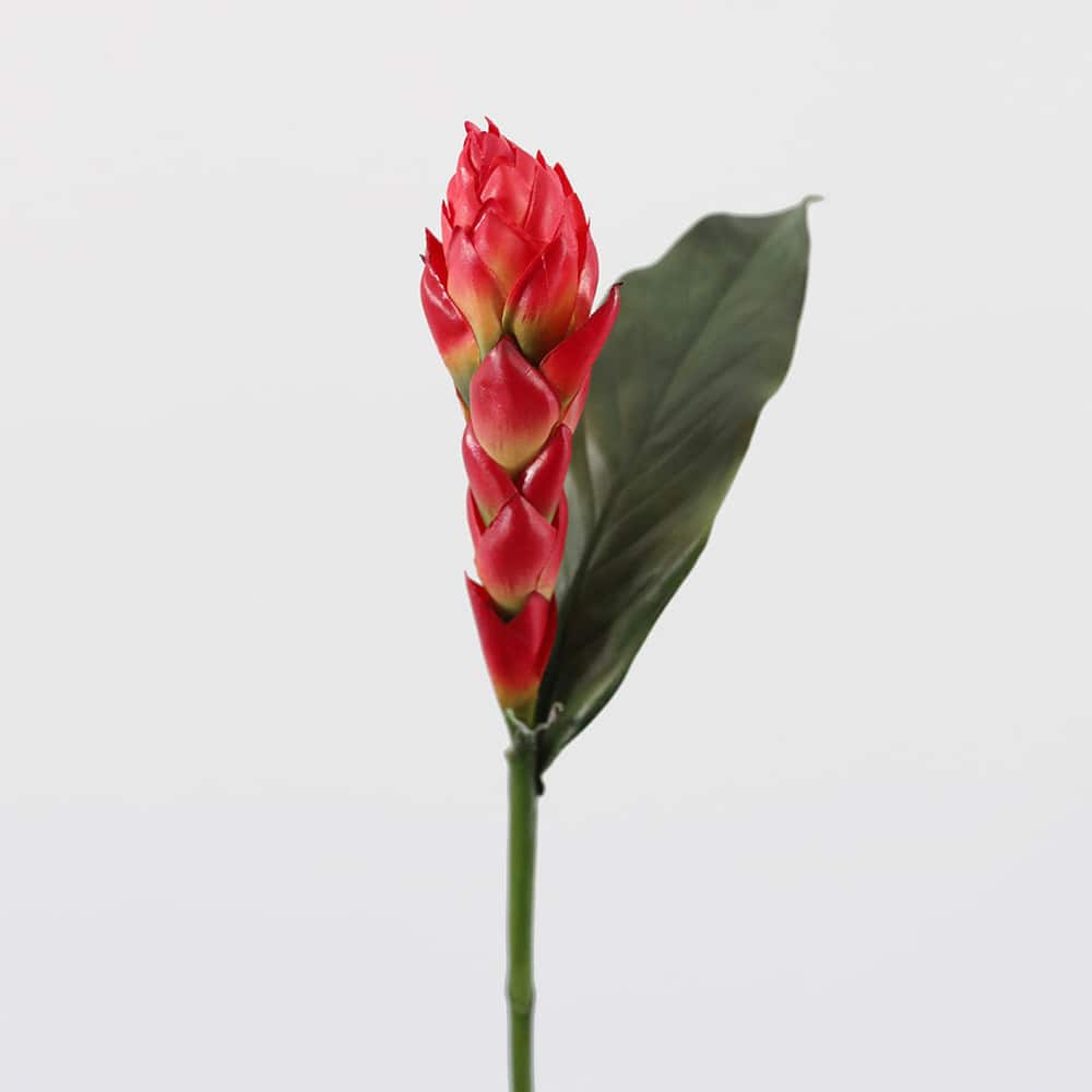 Prestige Botanicals 32" Red Faux Tropical Ginger Flower Stem