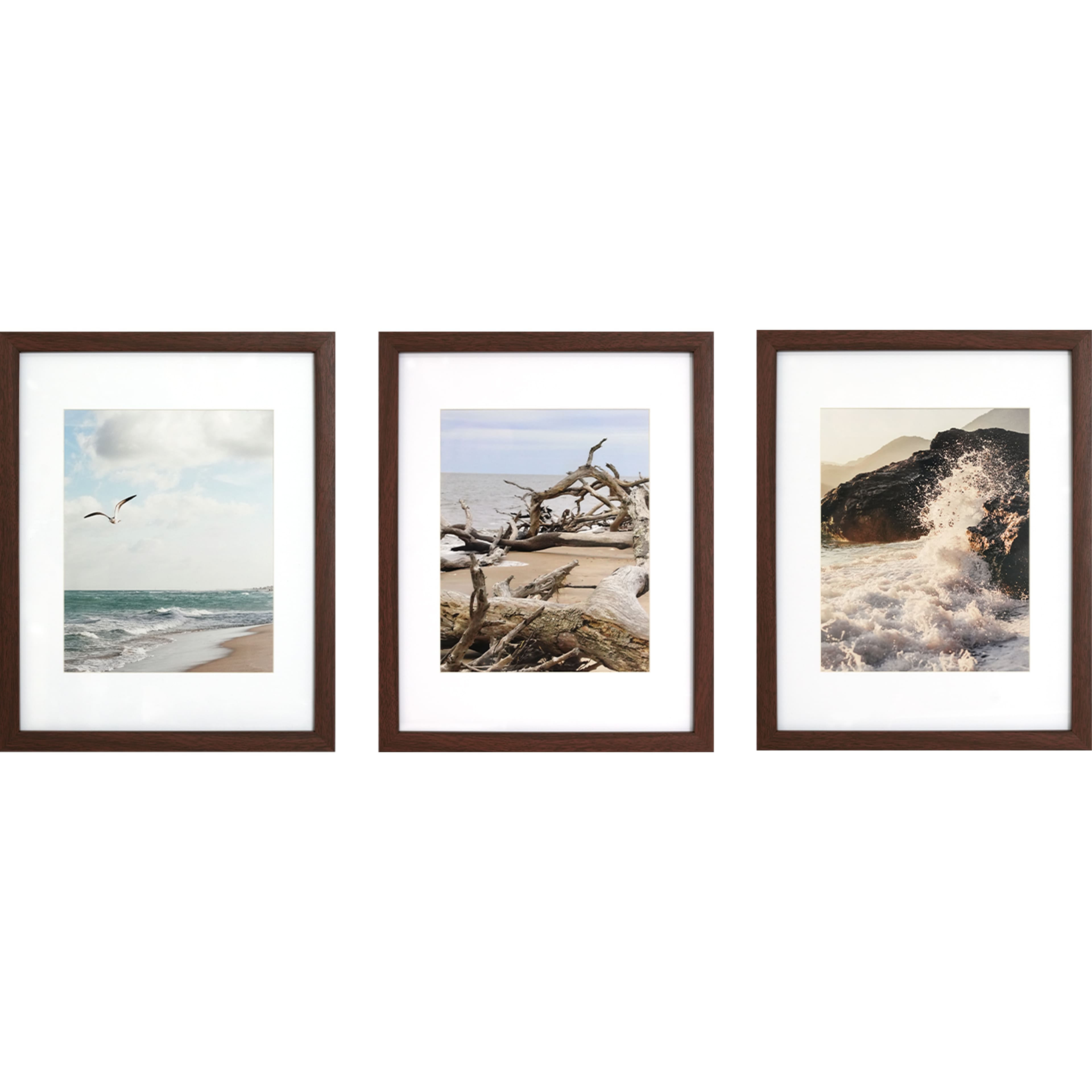 3 Pack Gallery™ 8" x 10" Brown Frame with Mat by Studio Décor®
