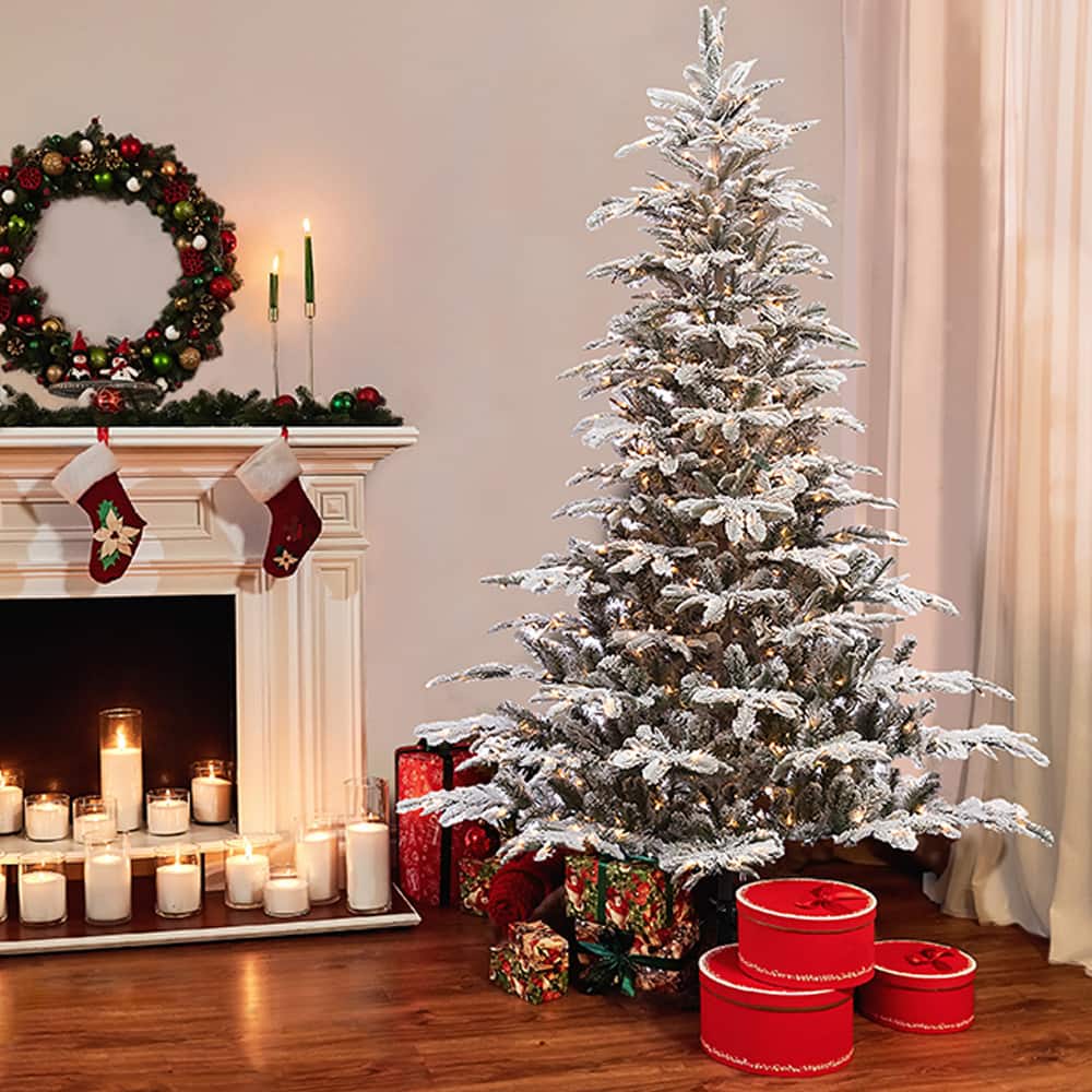 6.5ft. Pre-Lit Flocked Aspen Fir Artificial Christmas Tree, Clear Lights