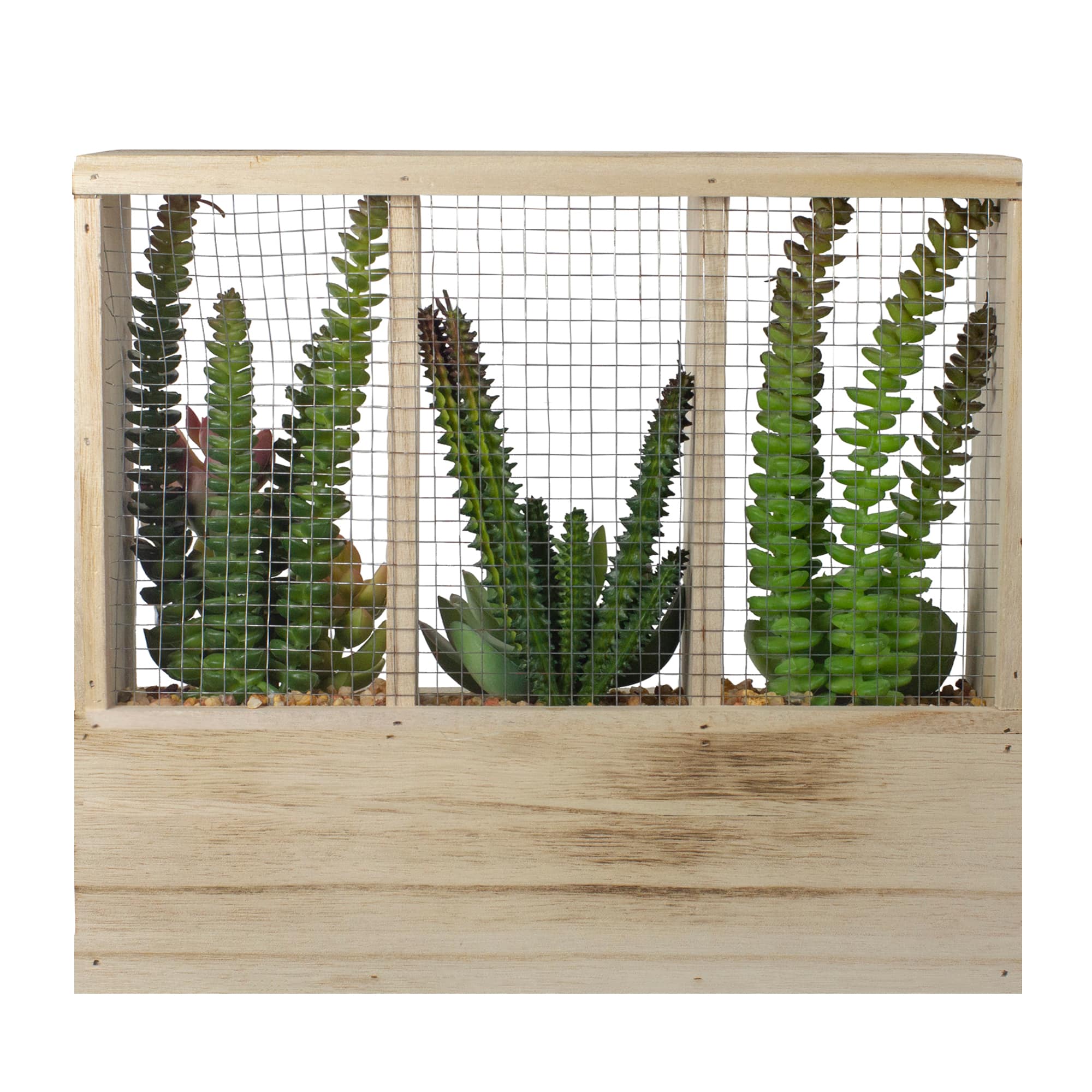 11" Mixed Succulent Arrangement in Wooden Planter Box