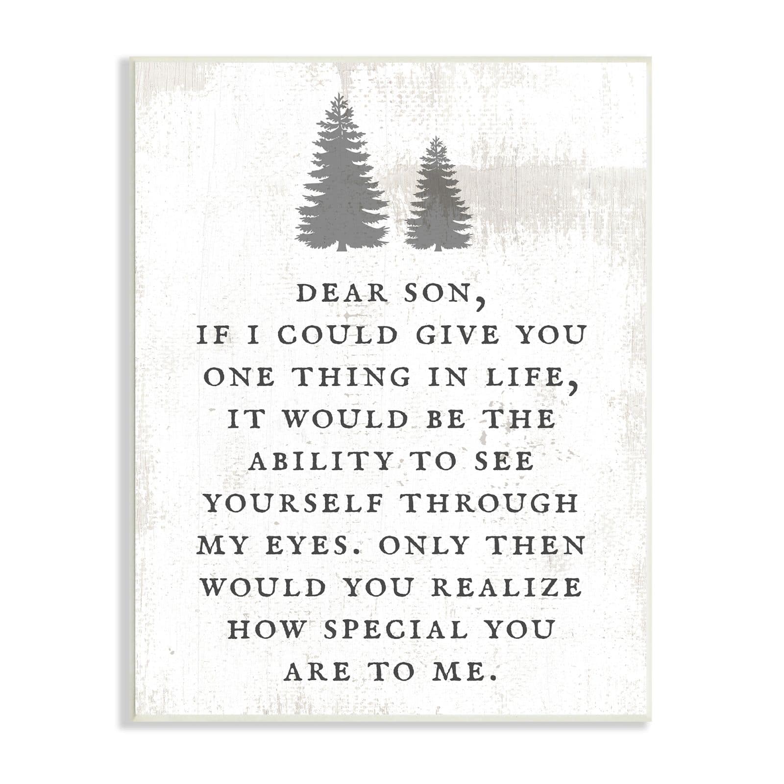 Stupell Industries Dear Son How Special You Are Phrase Rustic Forest Wall Plaque