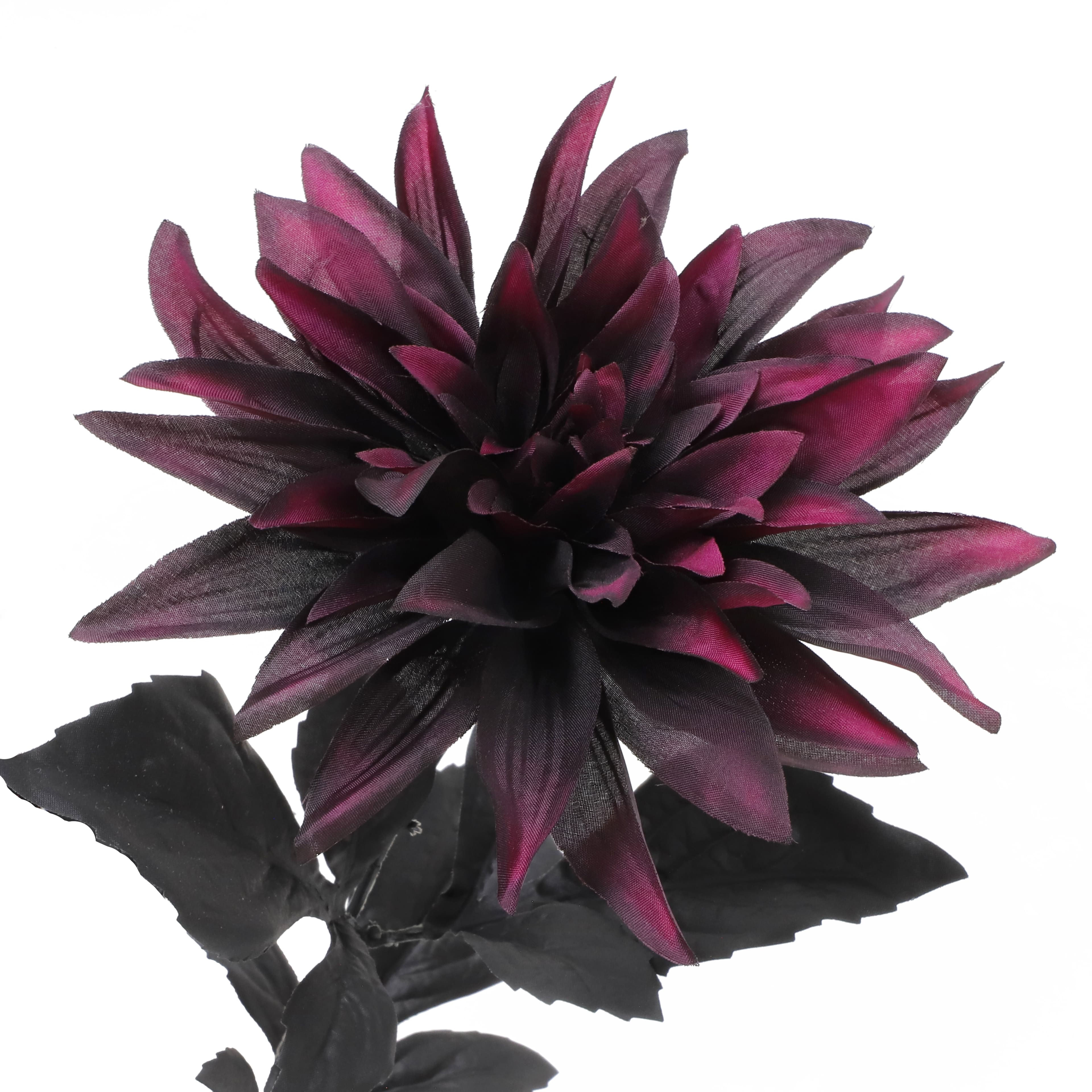19" Black & Wine Dahlia Bush by Ashland®