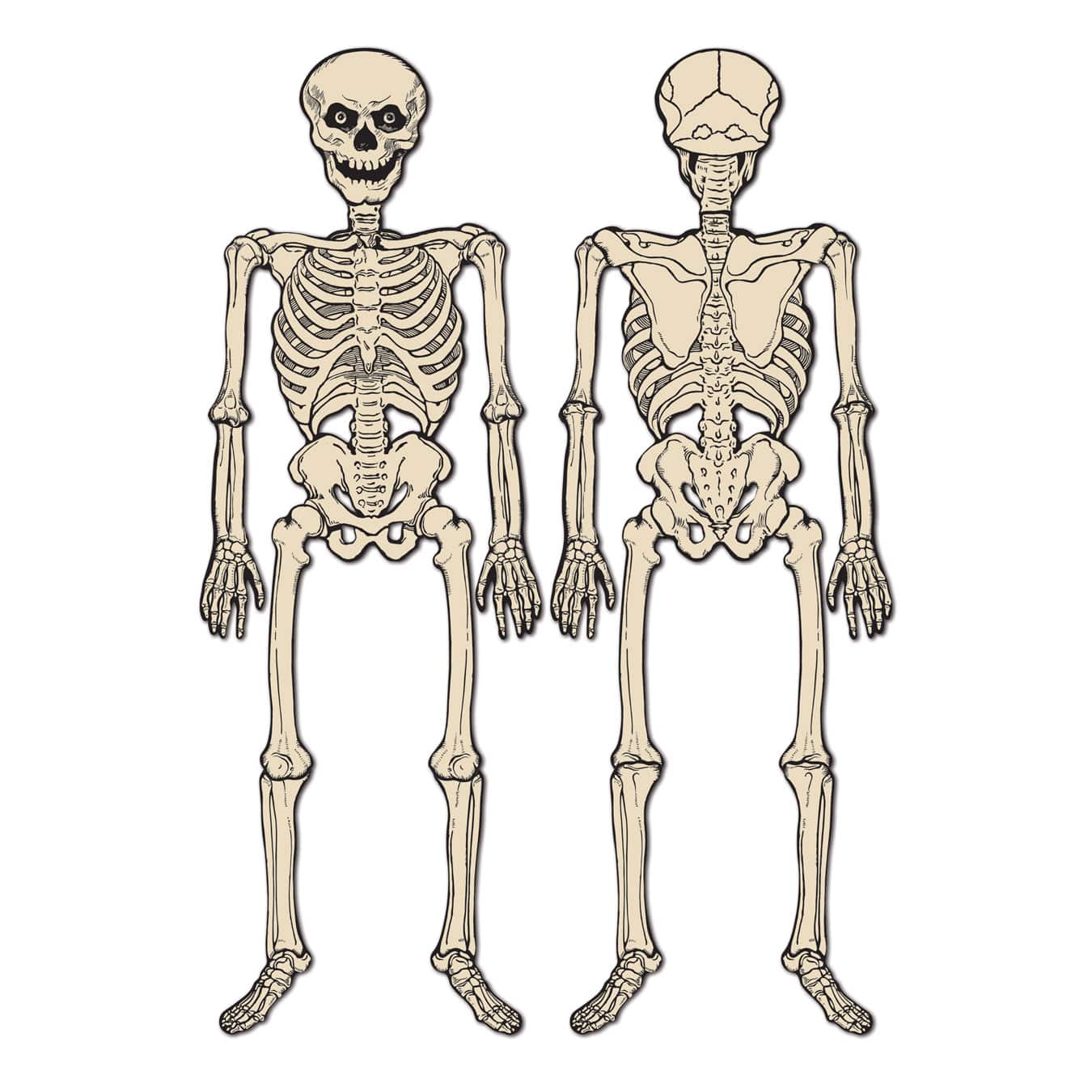Beistle 4.25Ft Vintage Halloween Double-Sided Jointed Skeleton in Cream | 4.25 ft | Michaels®