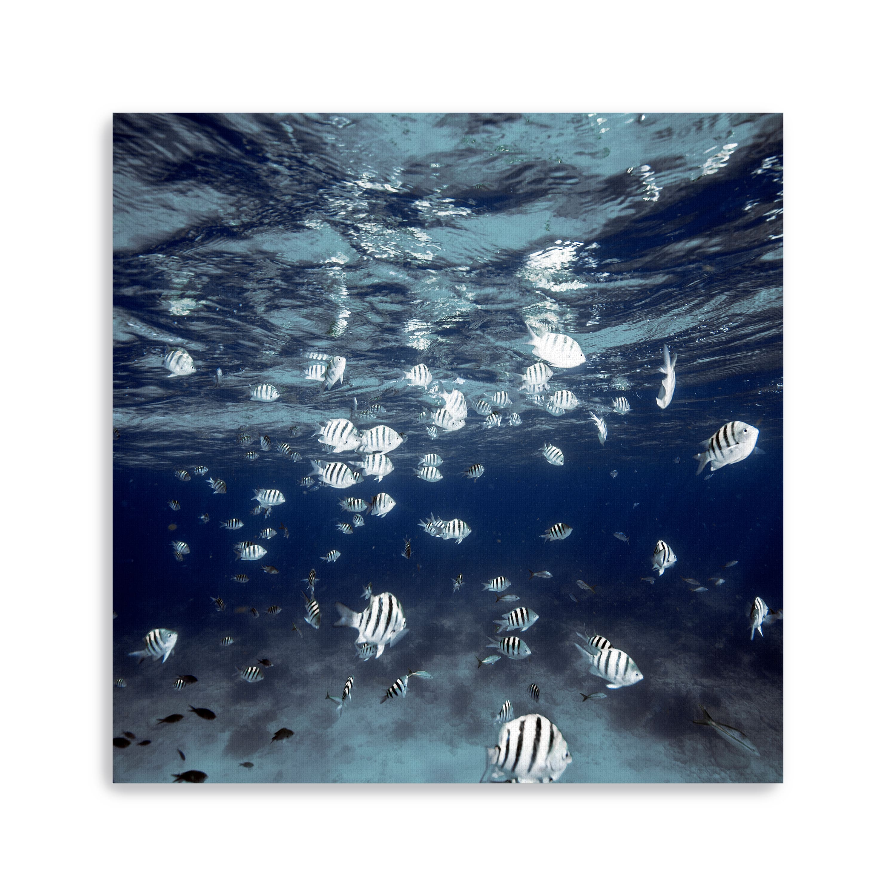 Indigo School Canvas Giclee