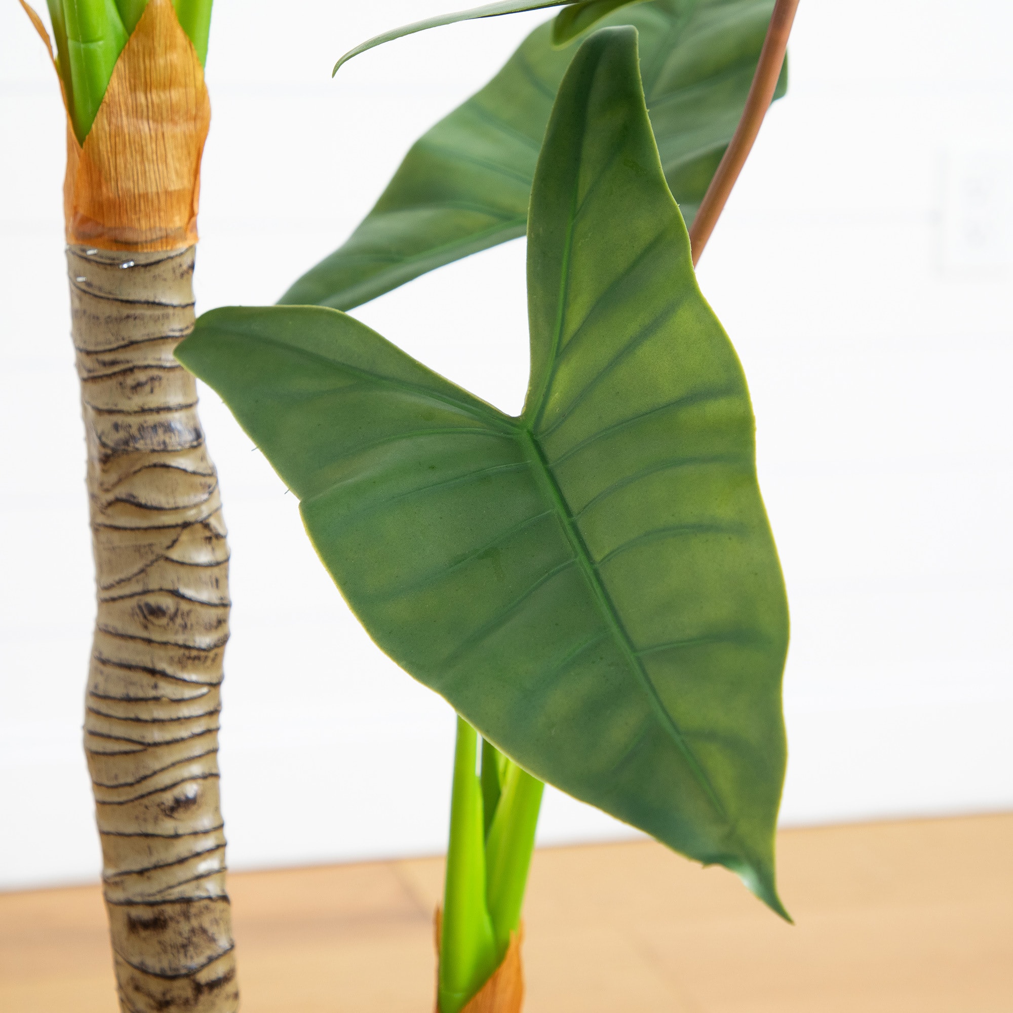 5.5ft. Arrowhead Philodendron in White Decorative Planter