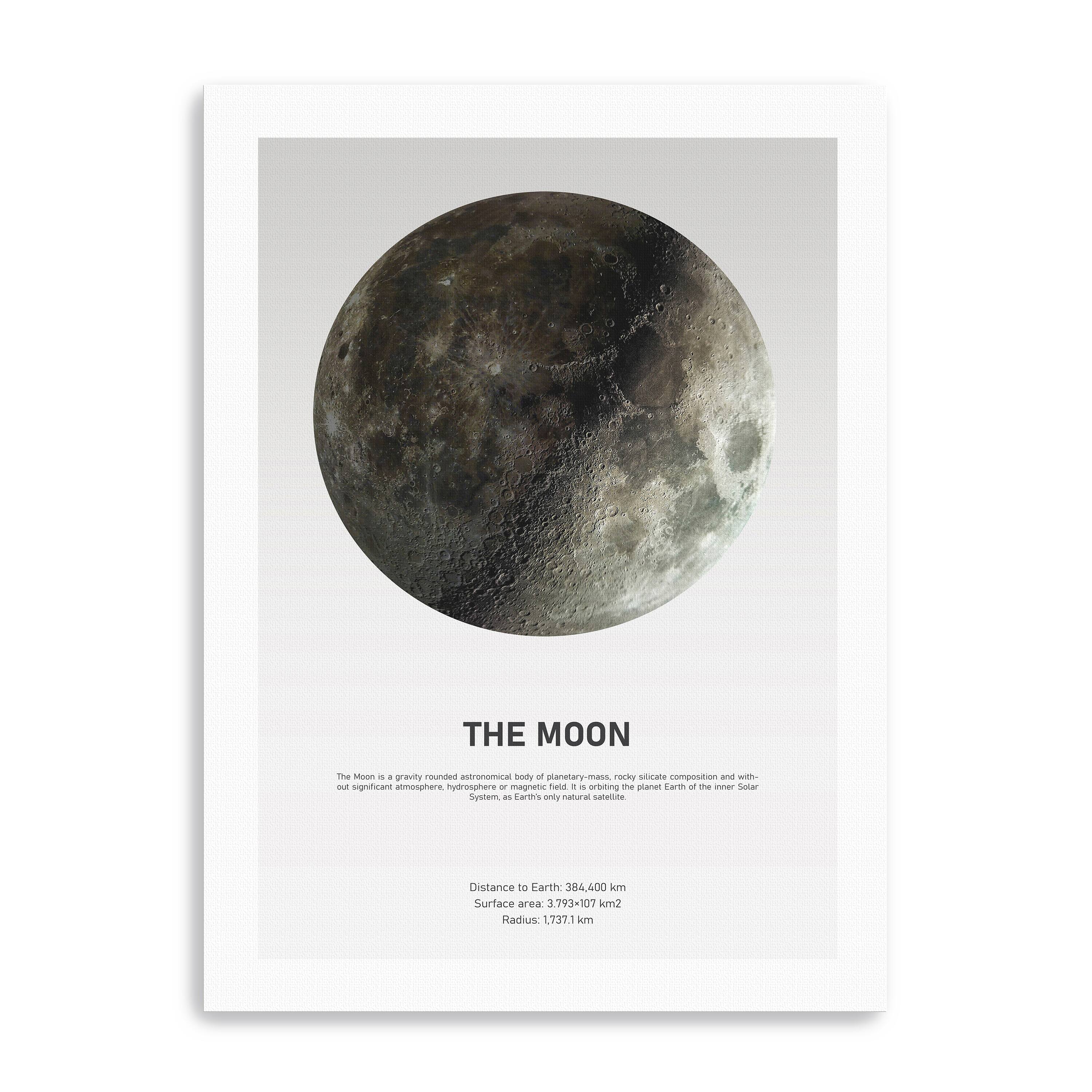 Moon Light Canvas Giclee