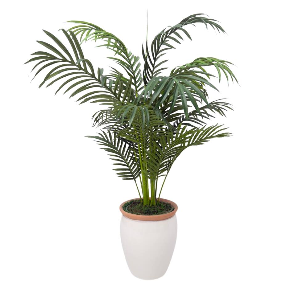 House of Silk Flowers 4.5ft. Faux Areca Palm in Glossy White Urn with Terracotta Urn