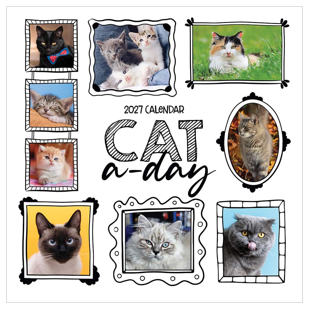 2027 Cat-A-Day Wall Calendar