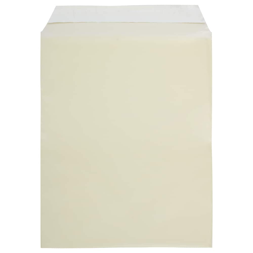 JAM Paper 8.93" x 11.25" Self Adhesive Closure Cello Sleeves