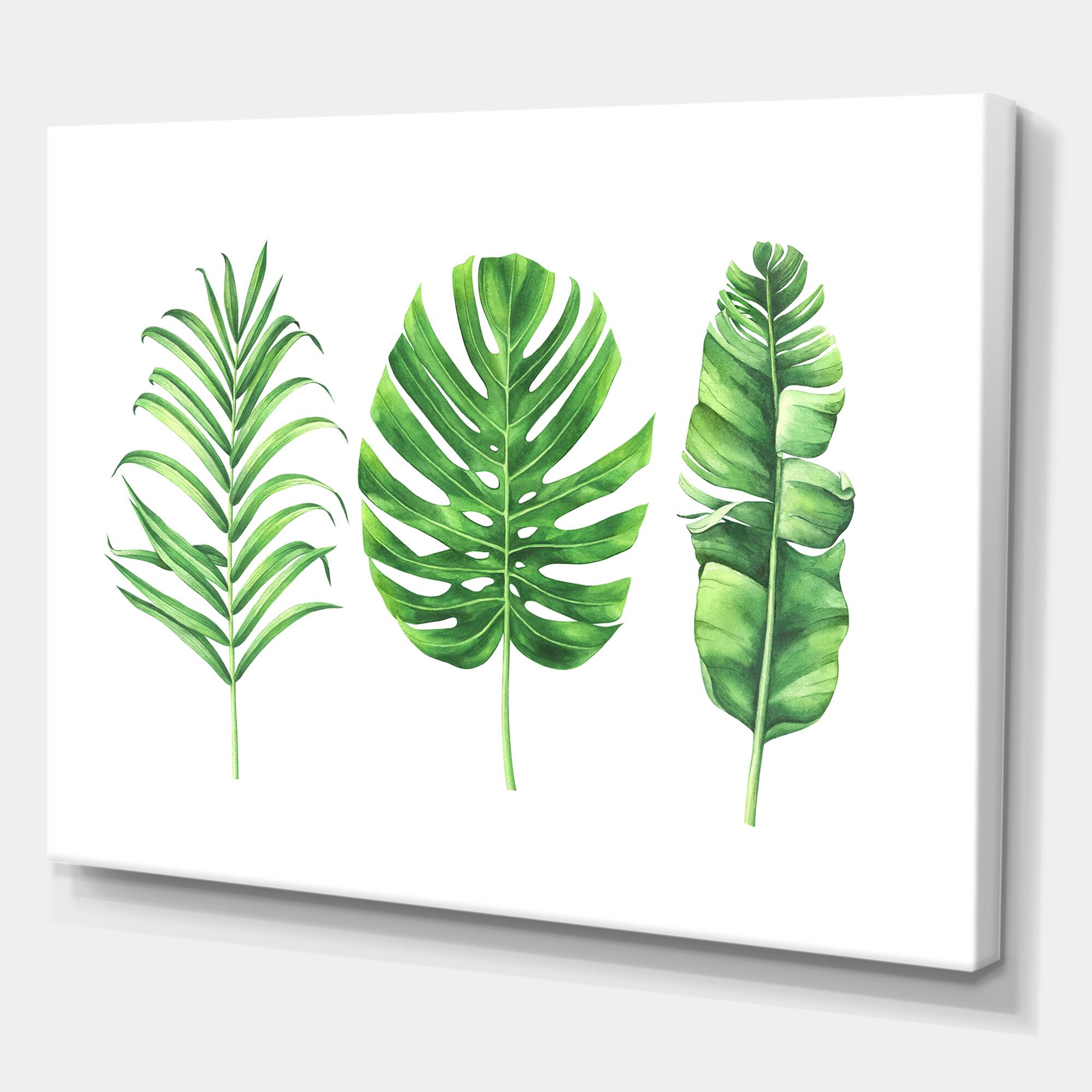 Designart - Tropical Leaf Of Monstera IV