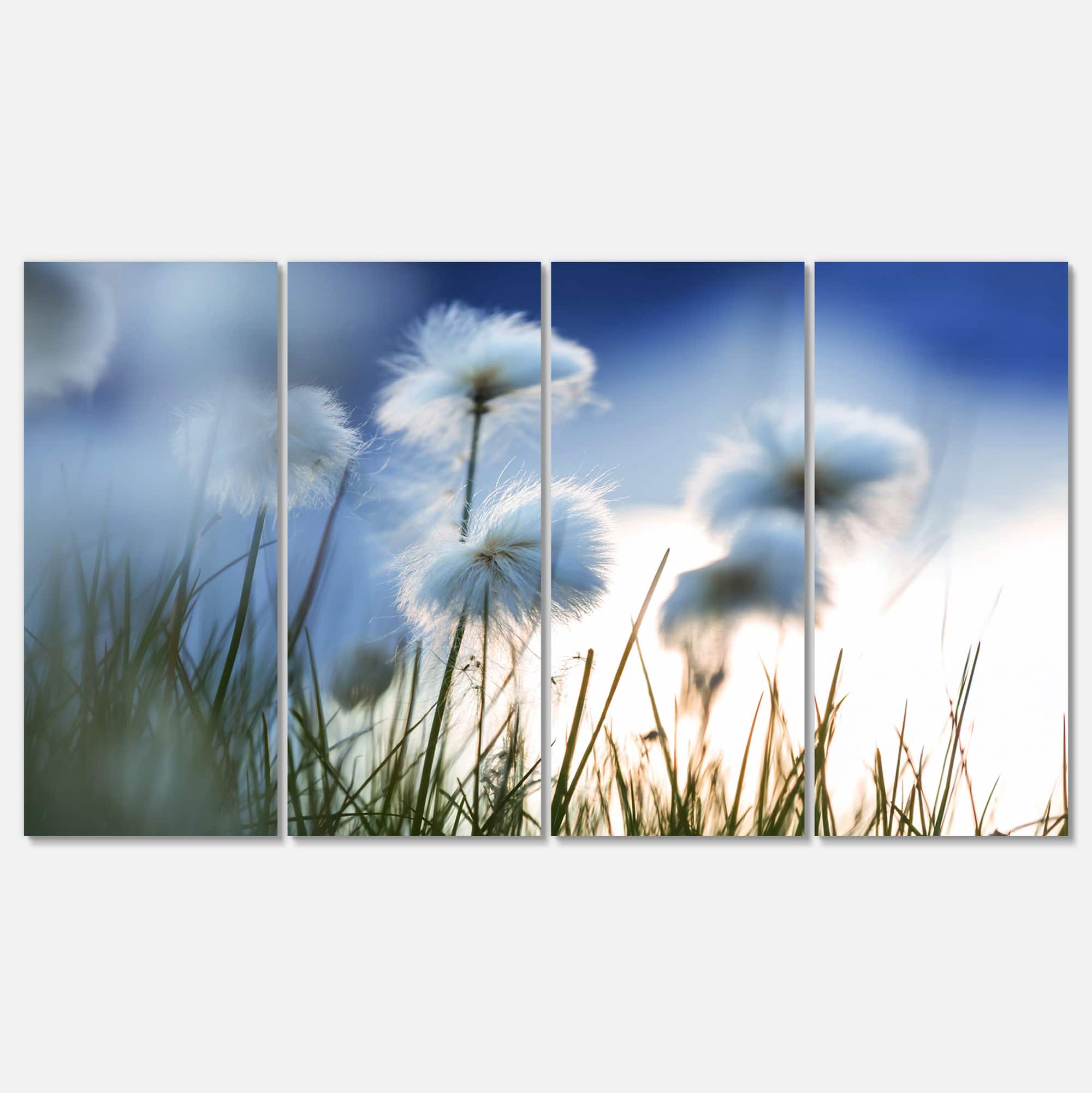 Designart - Beautiful Polar White Flowers