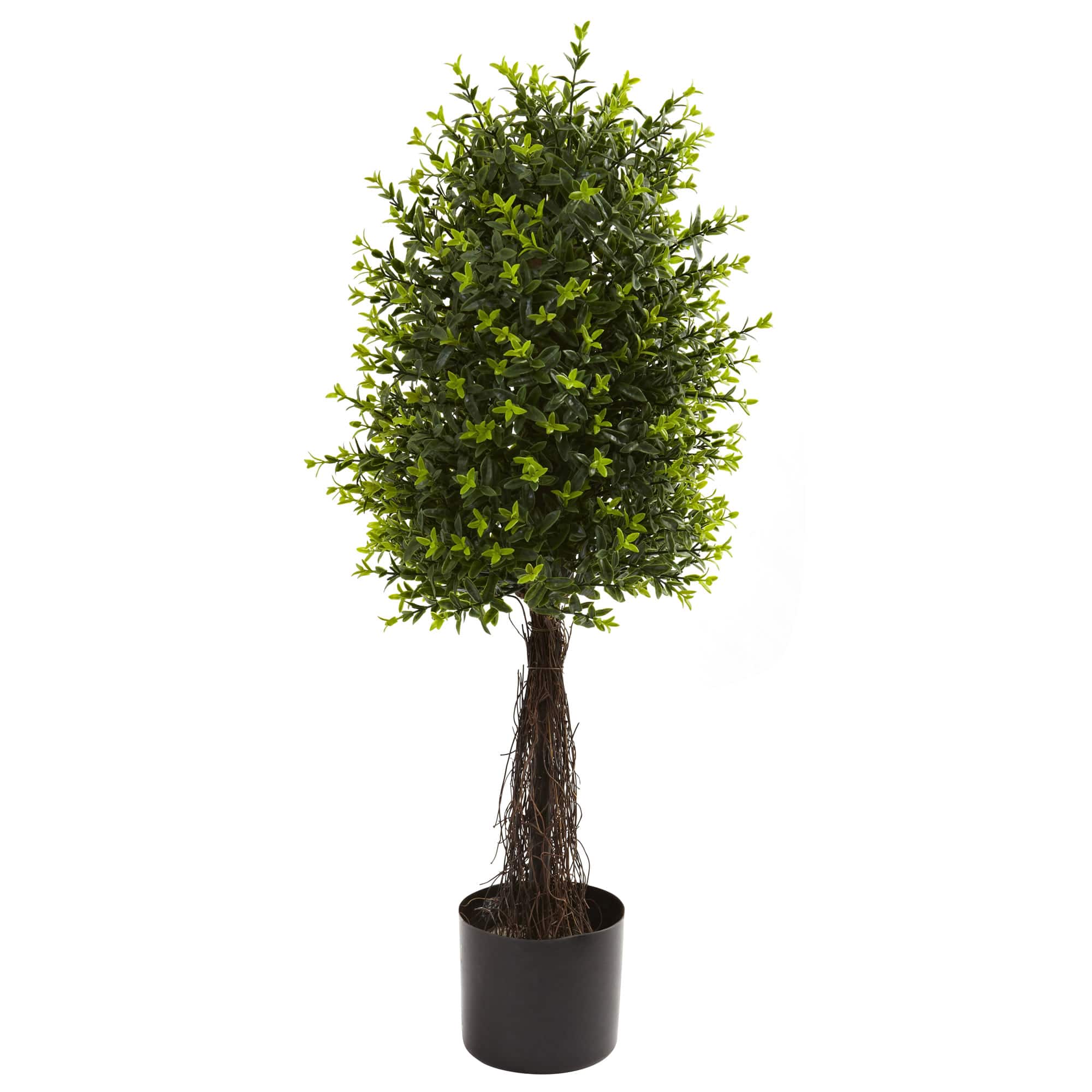 3ft. Potted Ixora Topiary